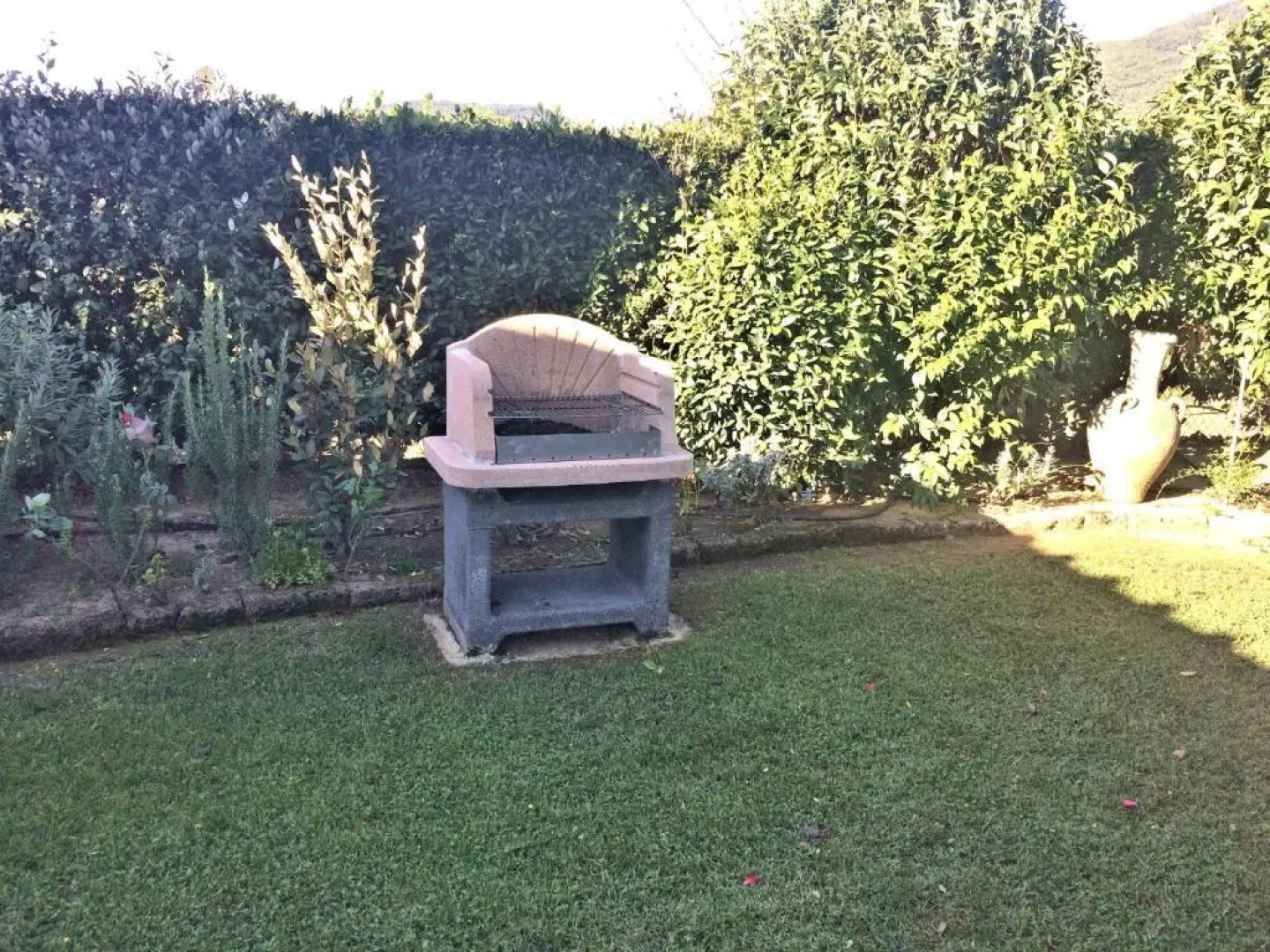 Under The Tuscan Sun