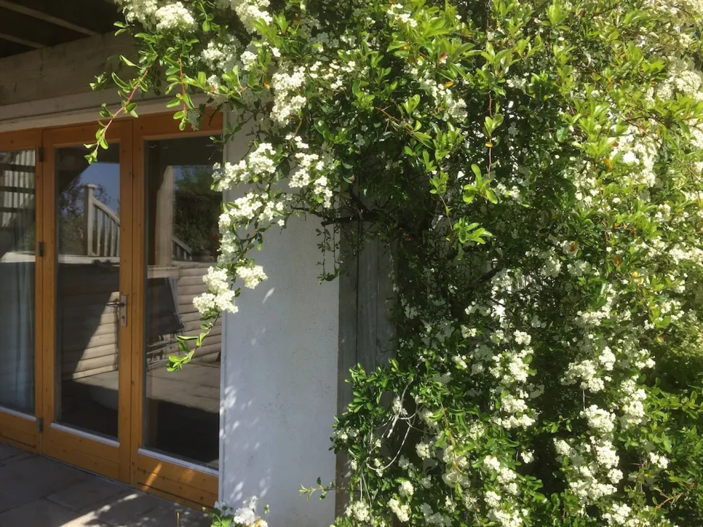 Swallows Rest Garden Apartment