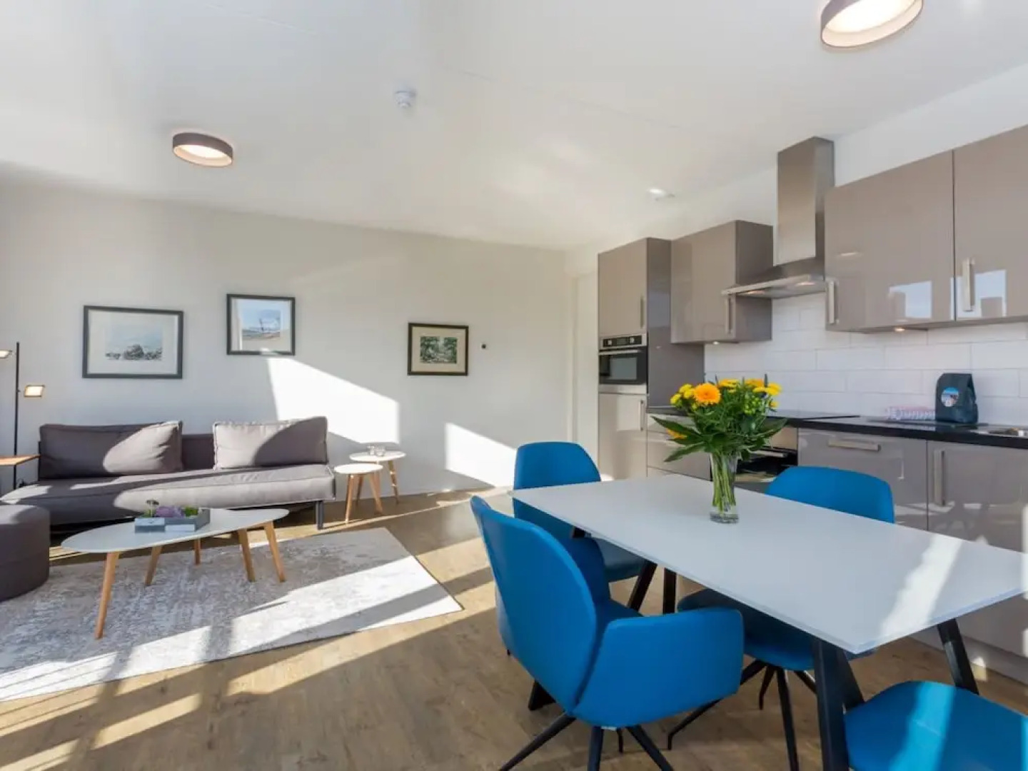 Zoutelande Beach Luxury Apartment