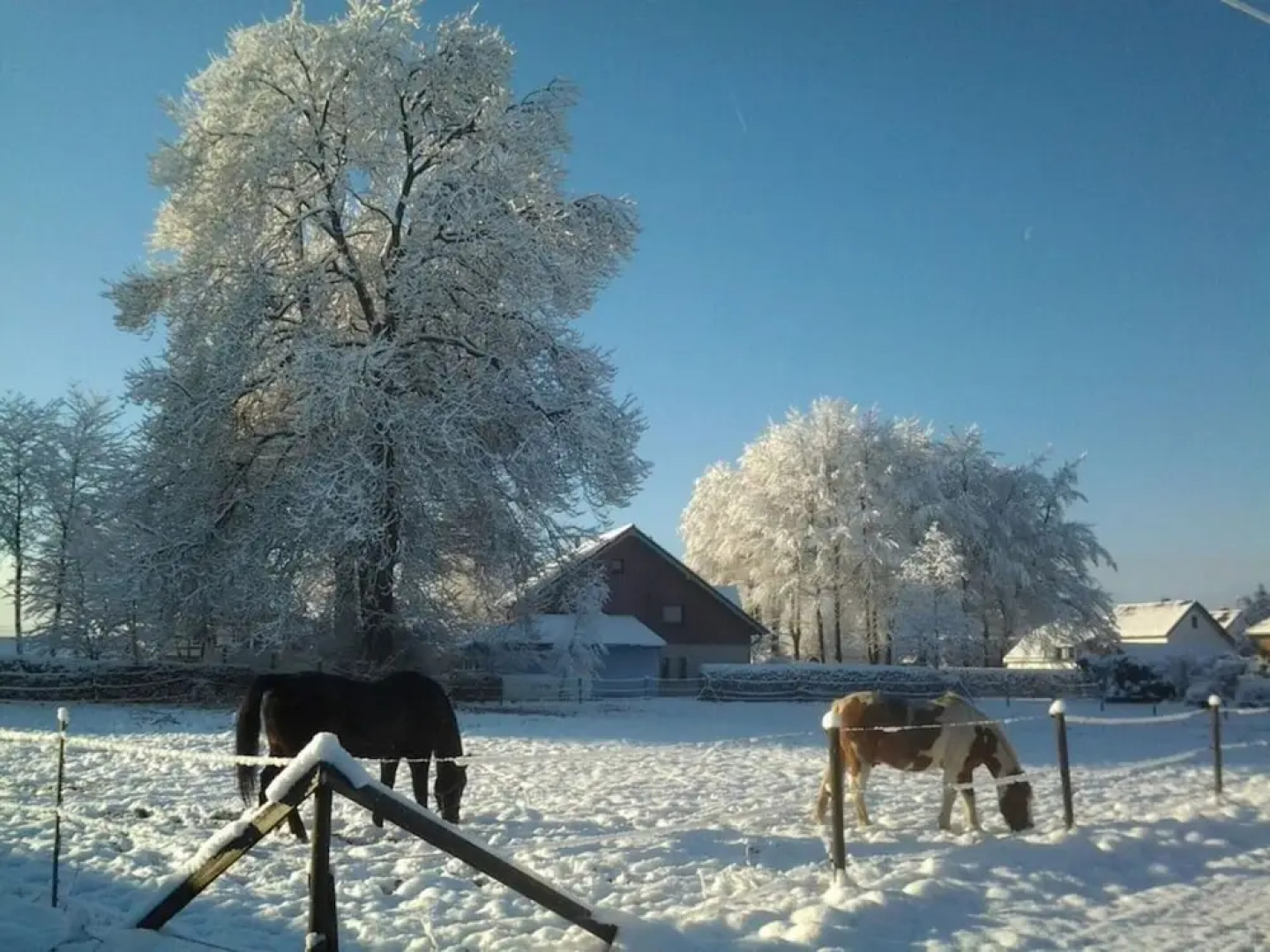 Holiday Home Altes Zollhaus No. 19