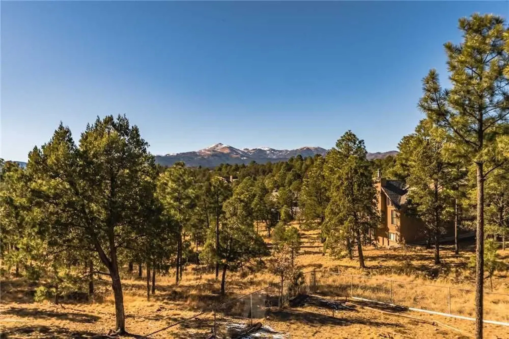 Christi and Don's Nuthouse