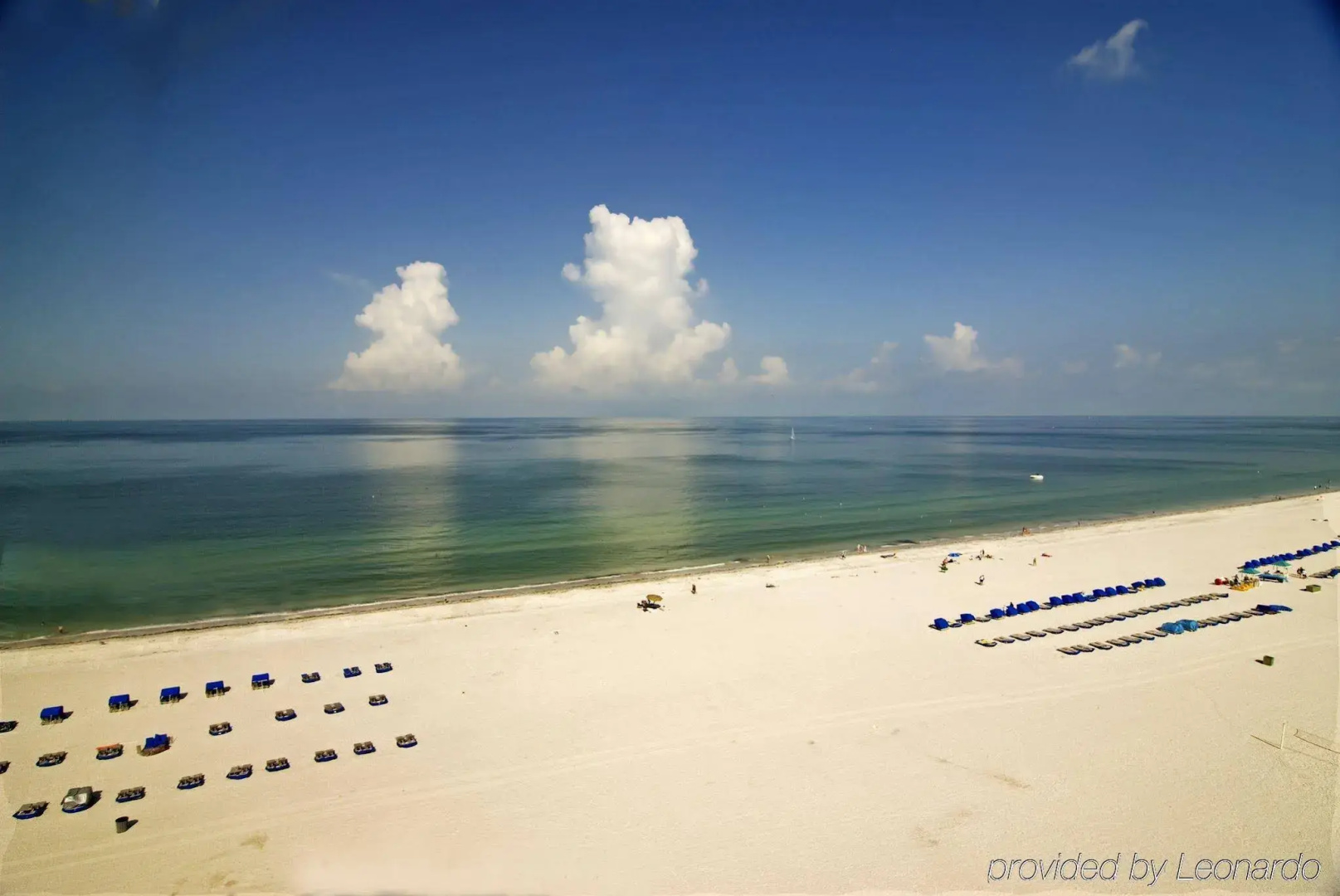 The Beachcomber