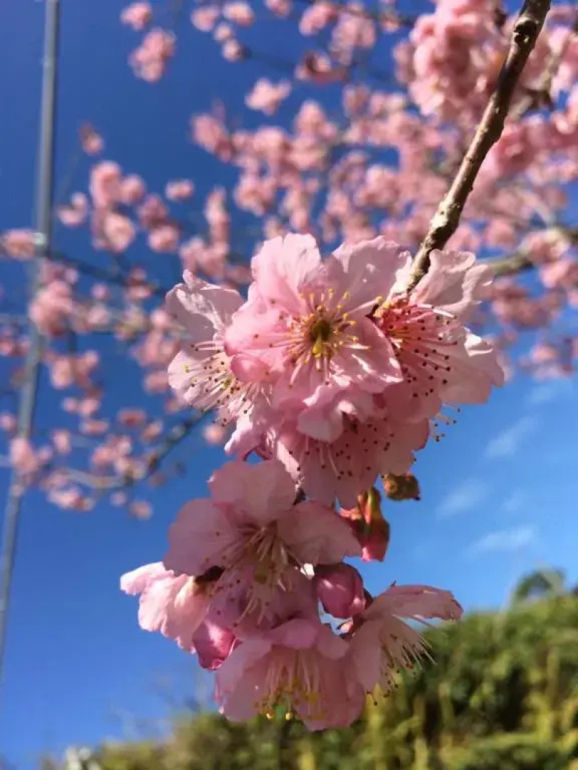 Walk Cloud Bed and Breakfast