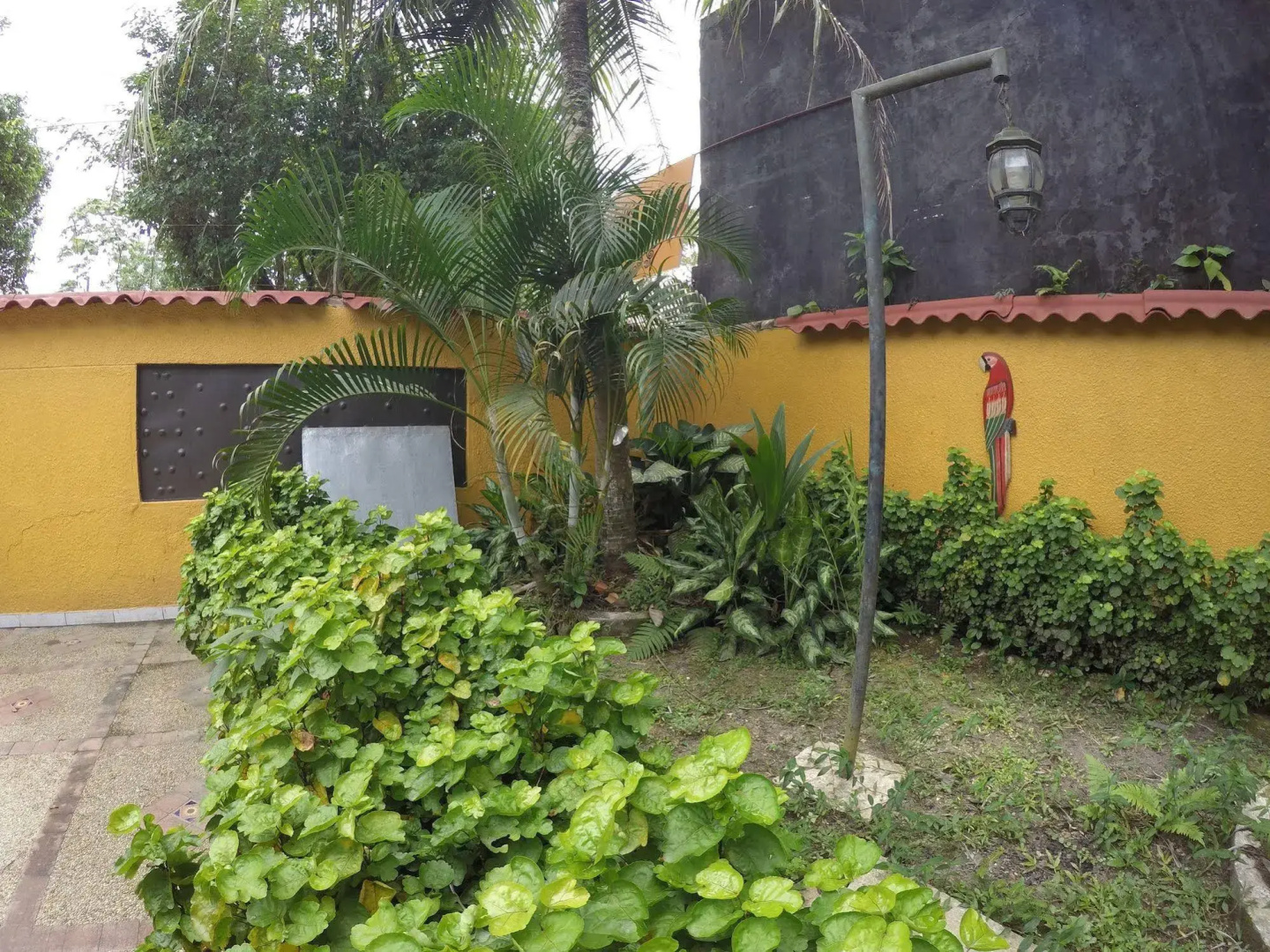 Leticias Guest House - Hostel