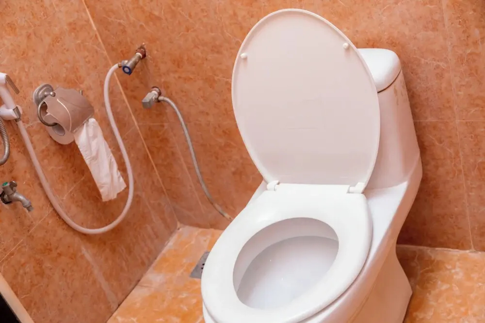 Basil link luxury rooms