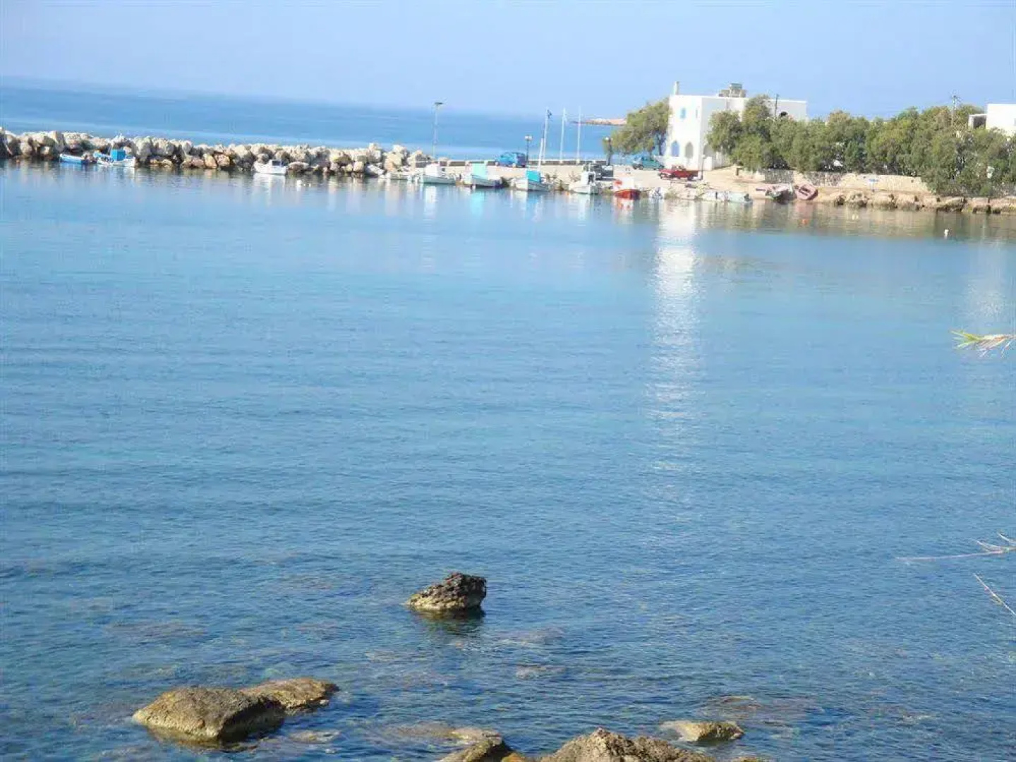 Blue & Sea Studios