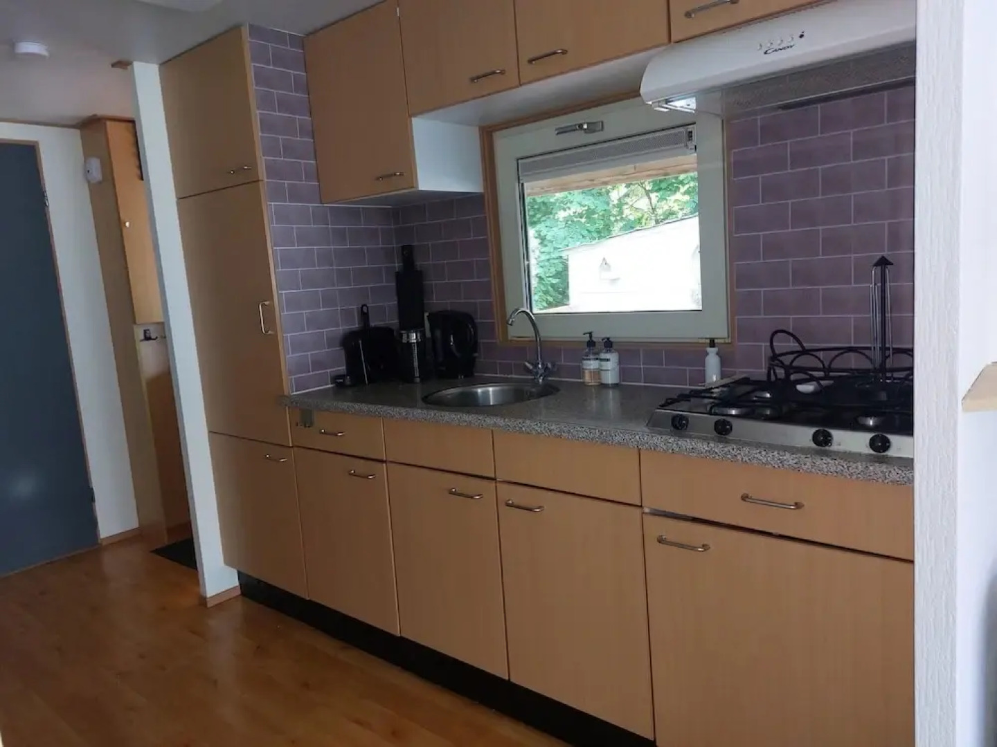 Cosy holiday home in Appelscha with garden