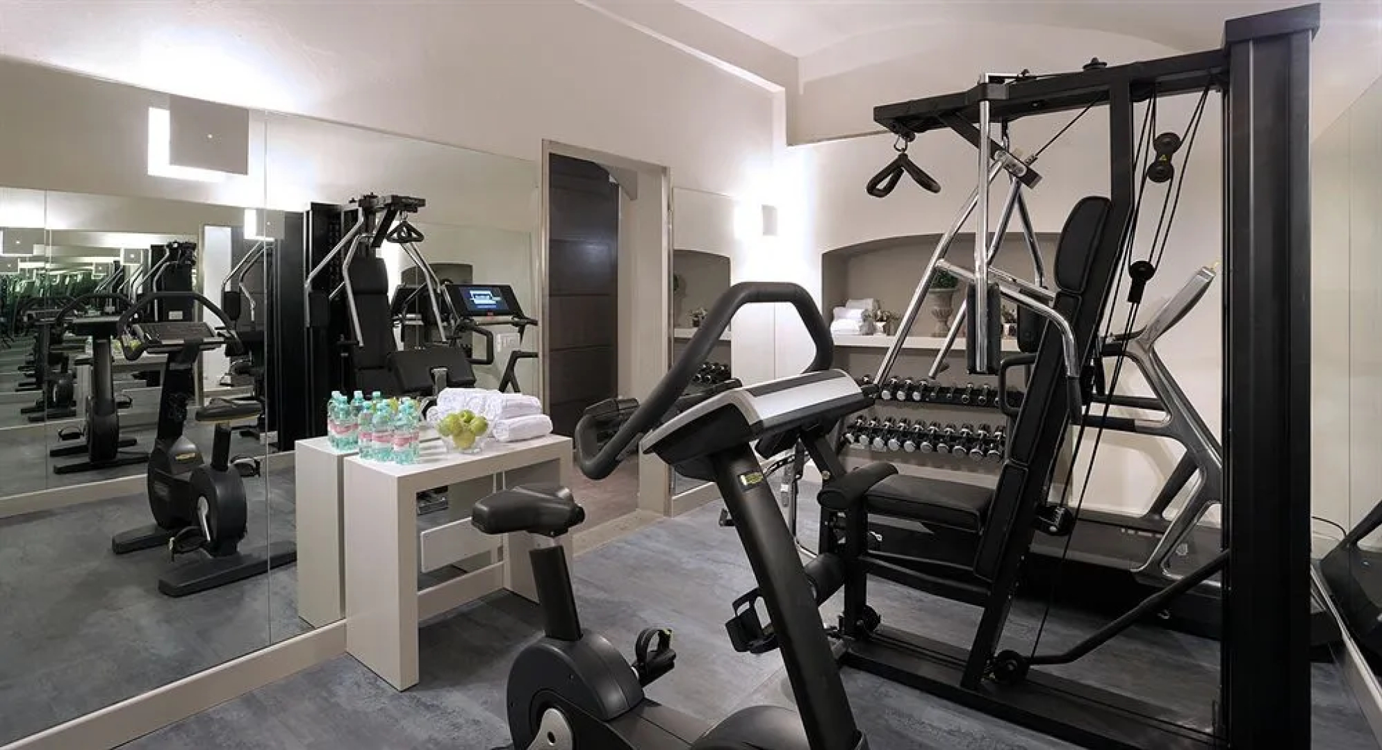 Trevi Palace Luxury Inn