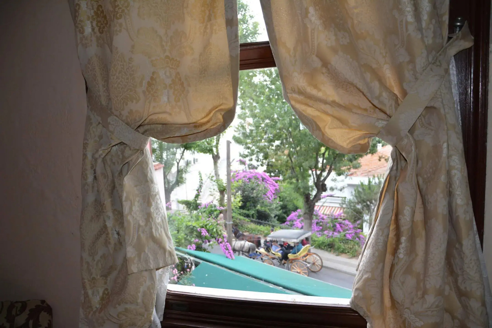 Büyükada Anastasia Meziki History Mansion