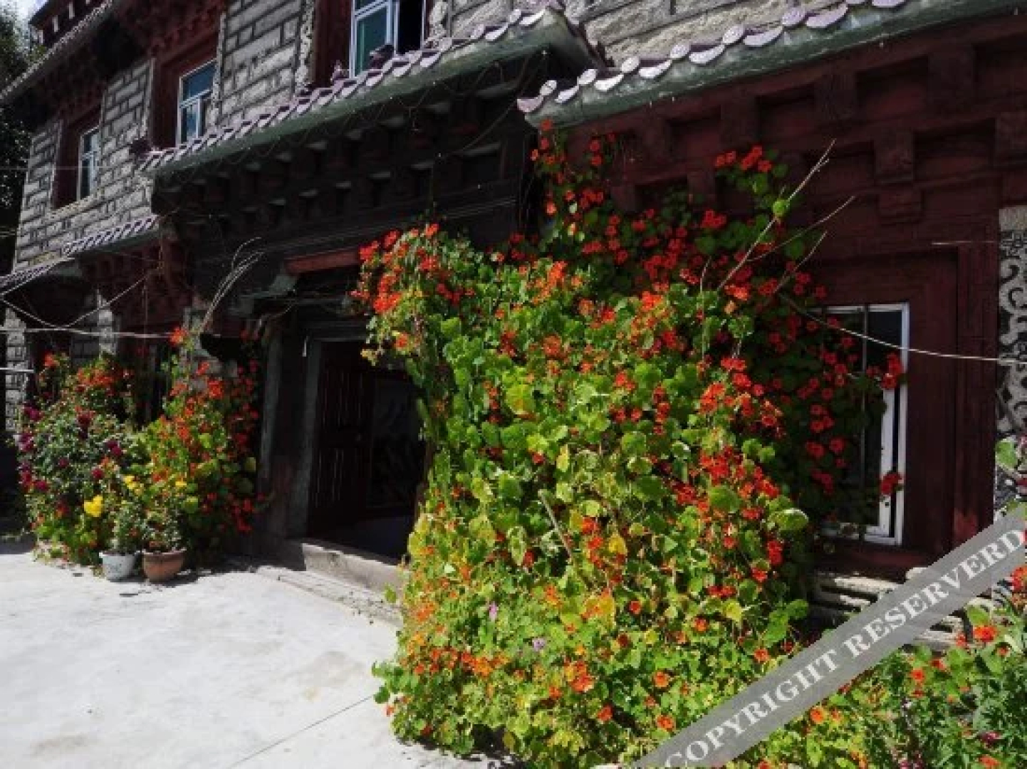 Zhuoma Renjia Youth Hostel