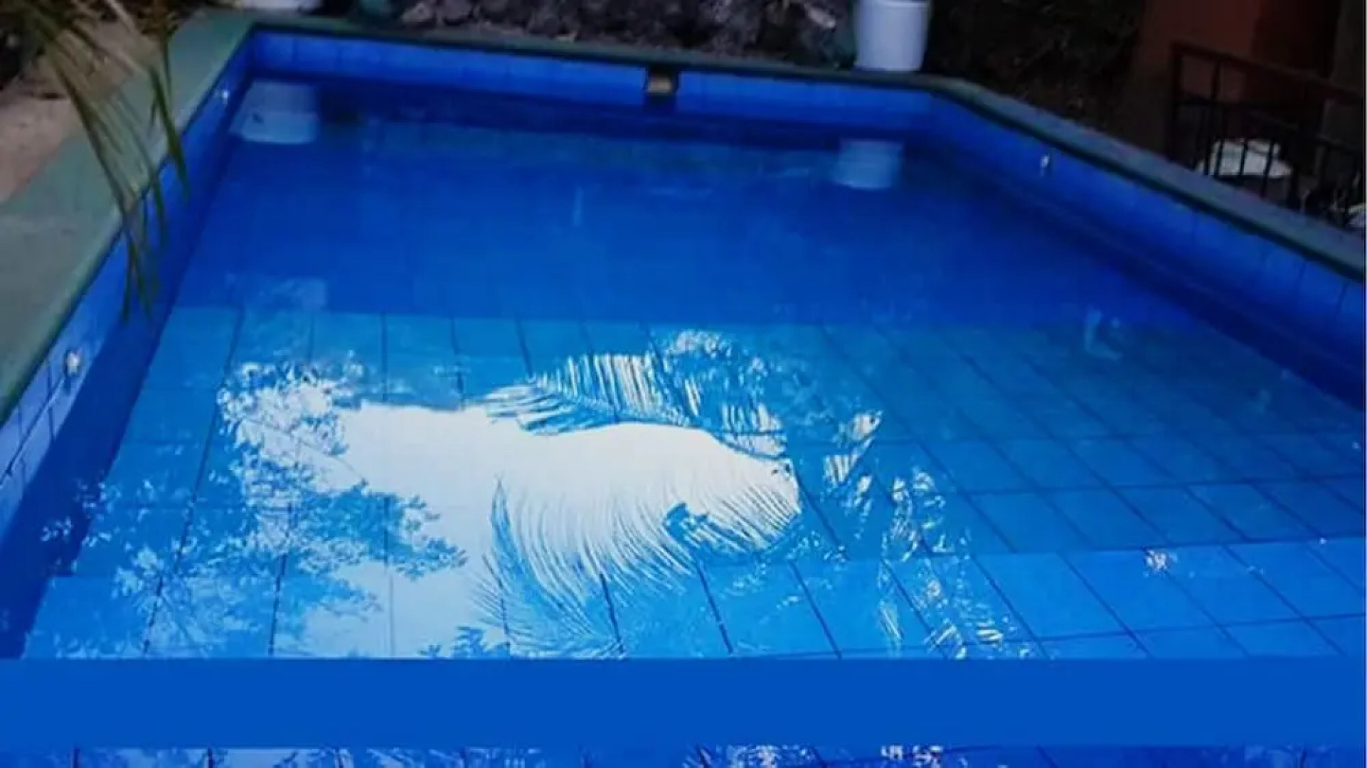 Hermosa Quinta en Costa Pájaros