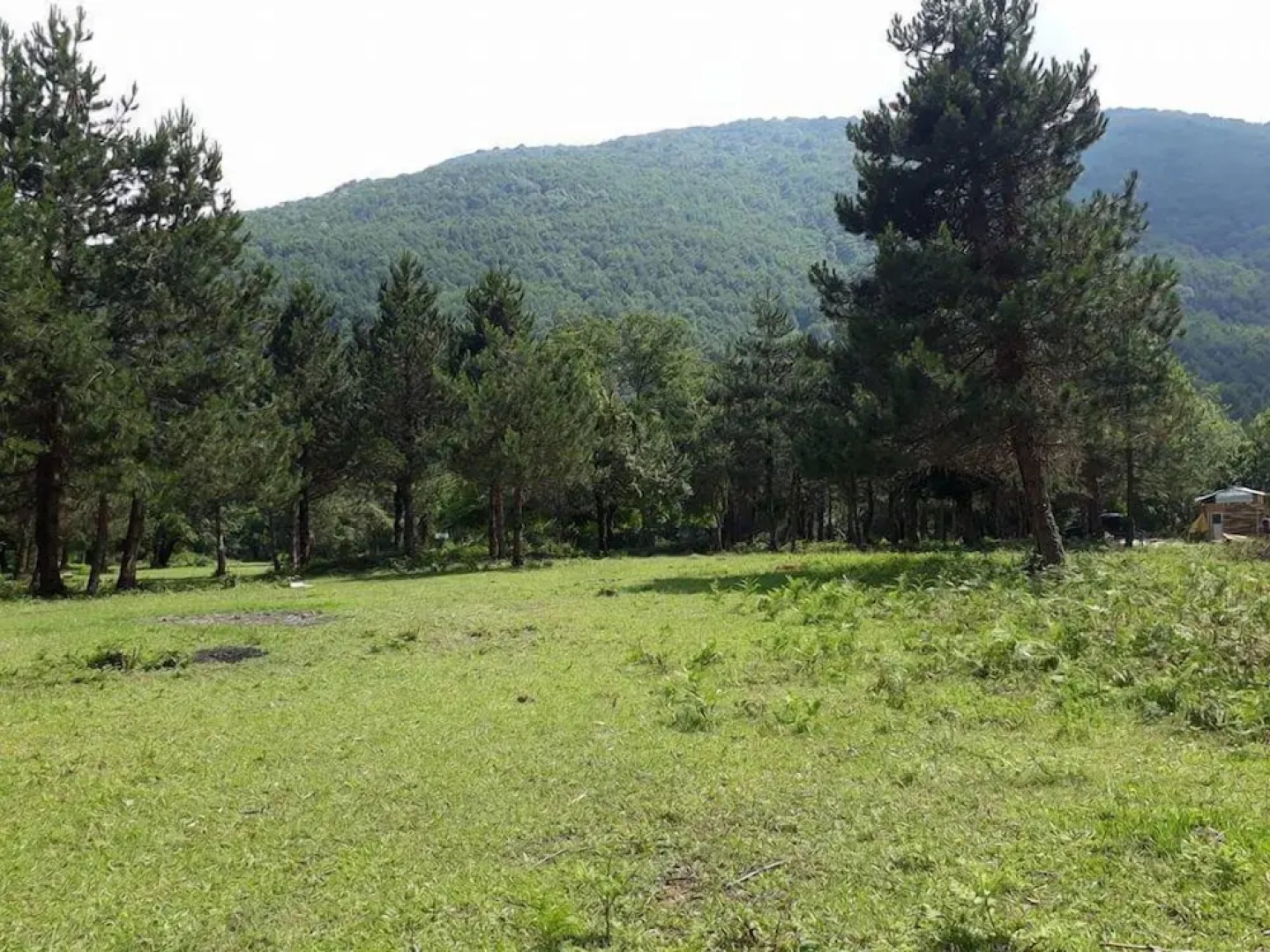 Kirkahvesi Garden - Campsite