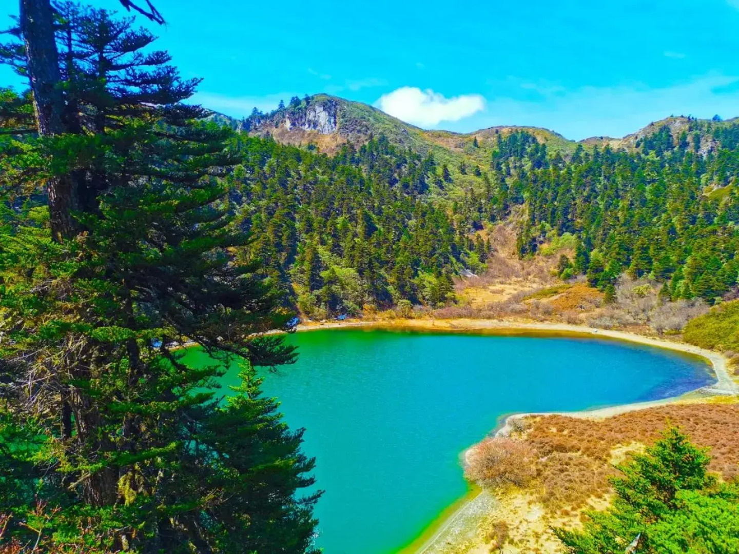 Arrokhampa By Zinc Journey Shangrila