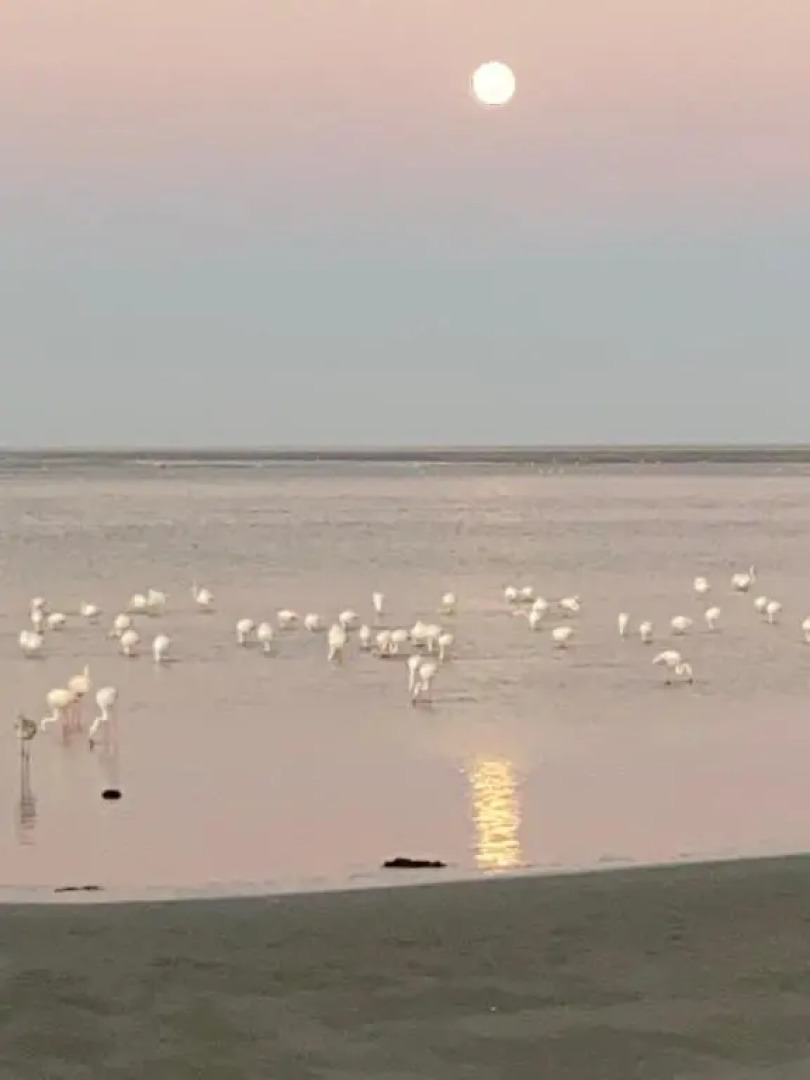 Lagoon View Self Catering