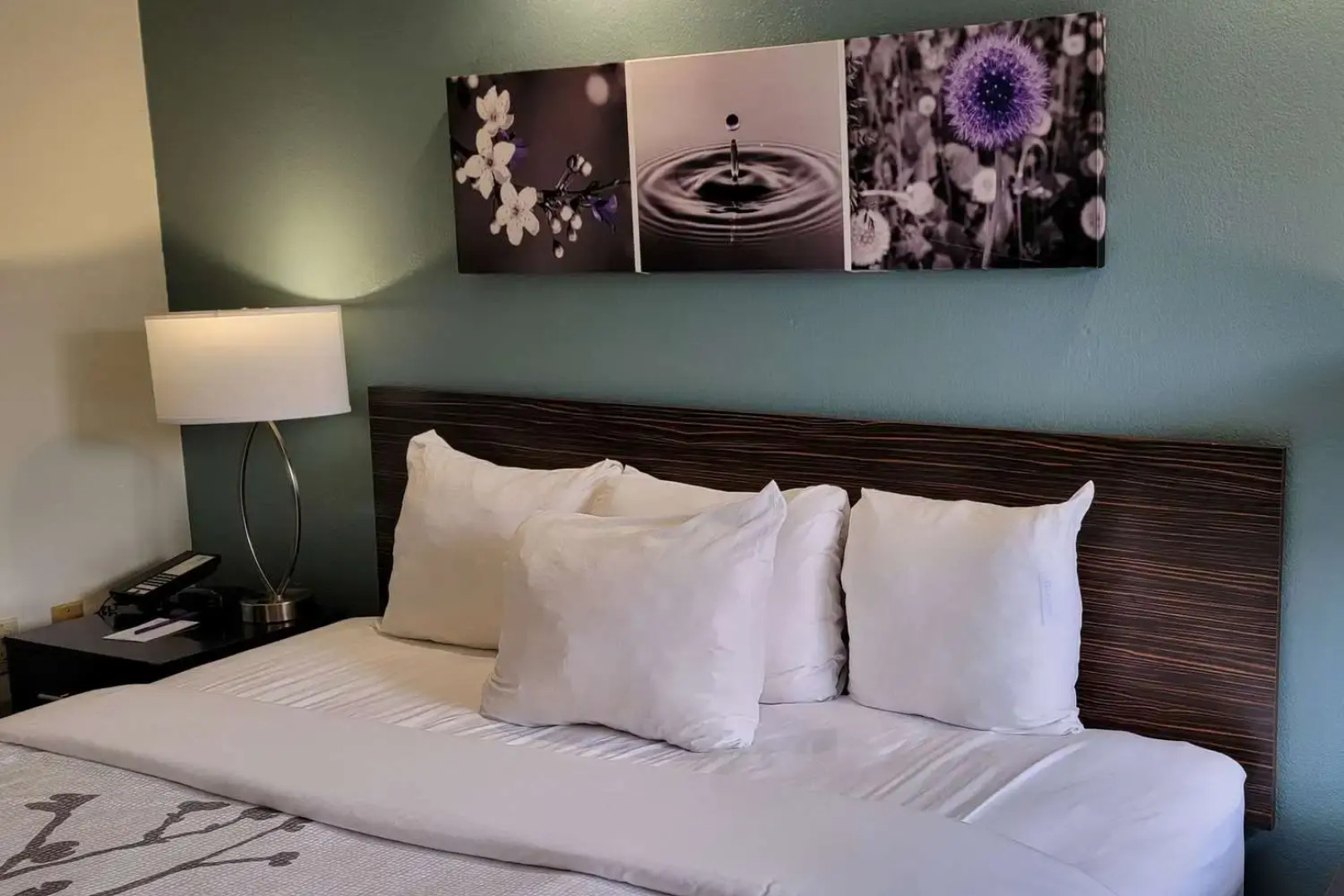 Sleep Inn Bessemer Helena