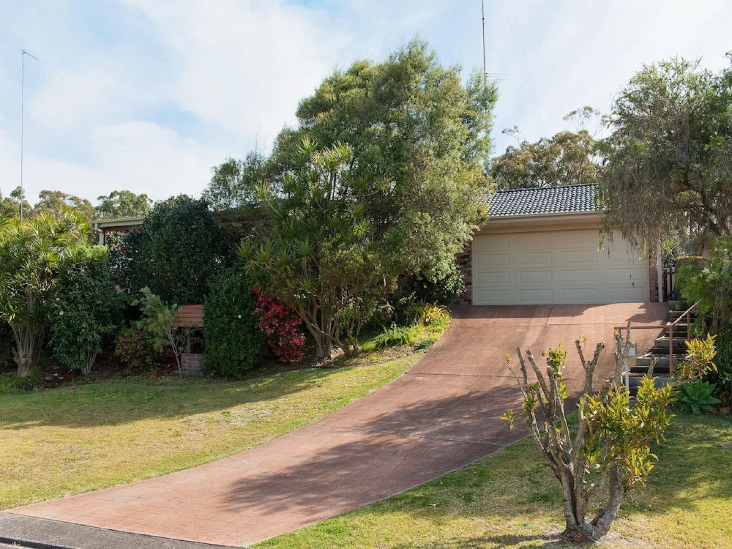 Wildflowers at Fingal Bay