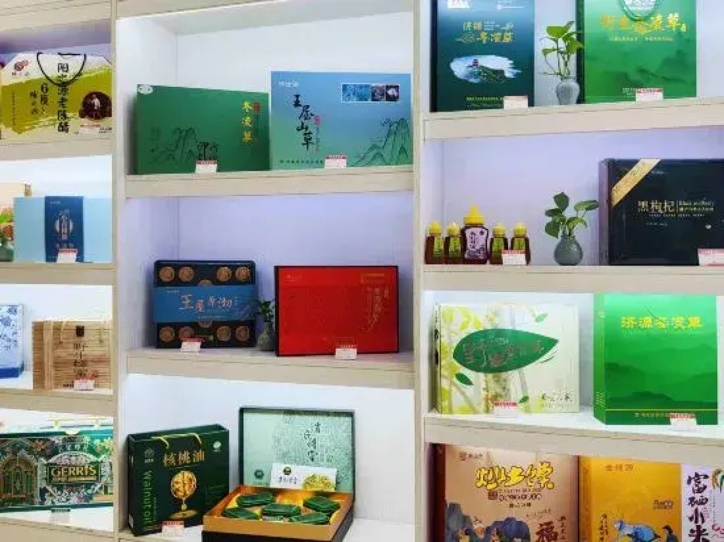 Wangwushan Hotel (Xinyao City Plaza Branch of Jiyuan Railway Station)