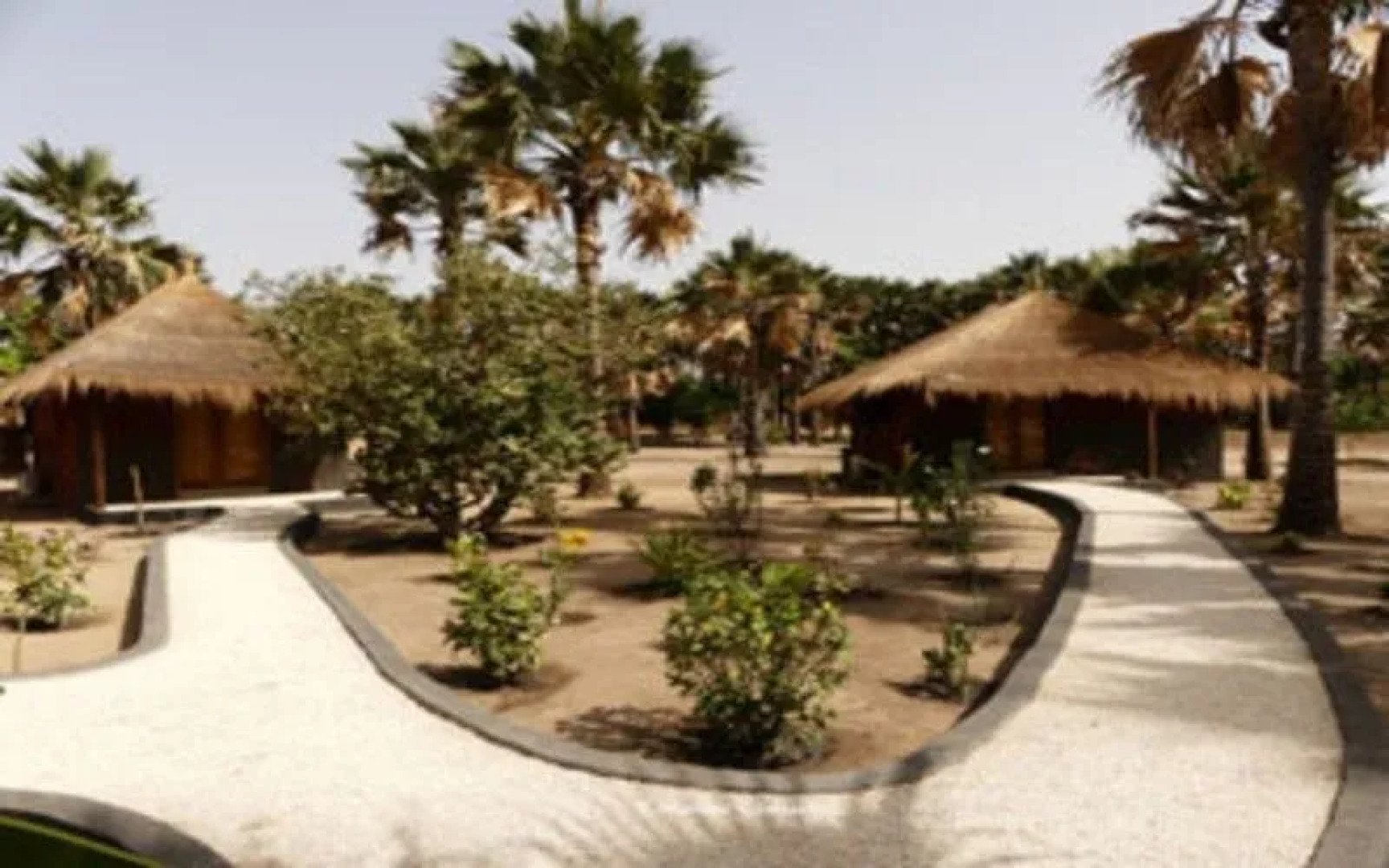 La Palmaraie de Ngor