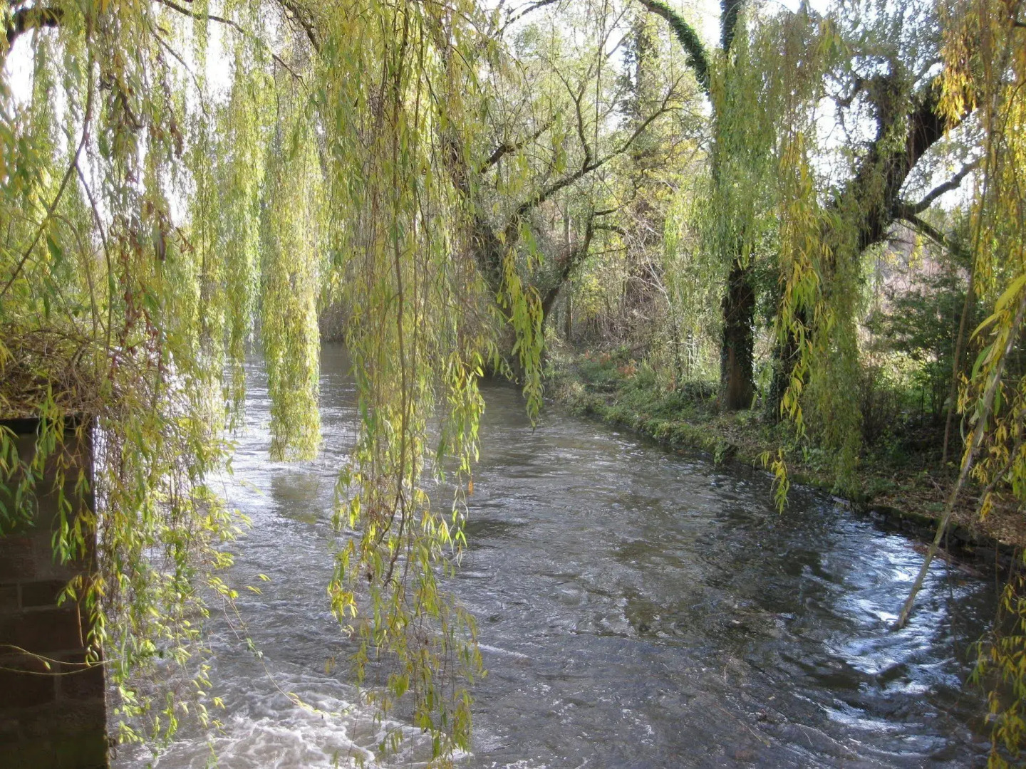 Hotel Spa Le Moulin de la Wantzenau