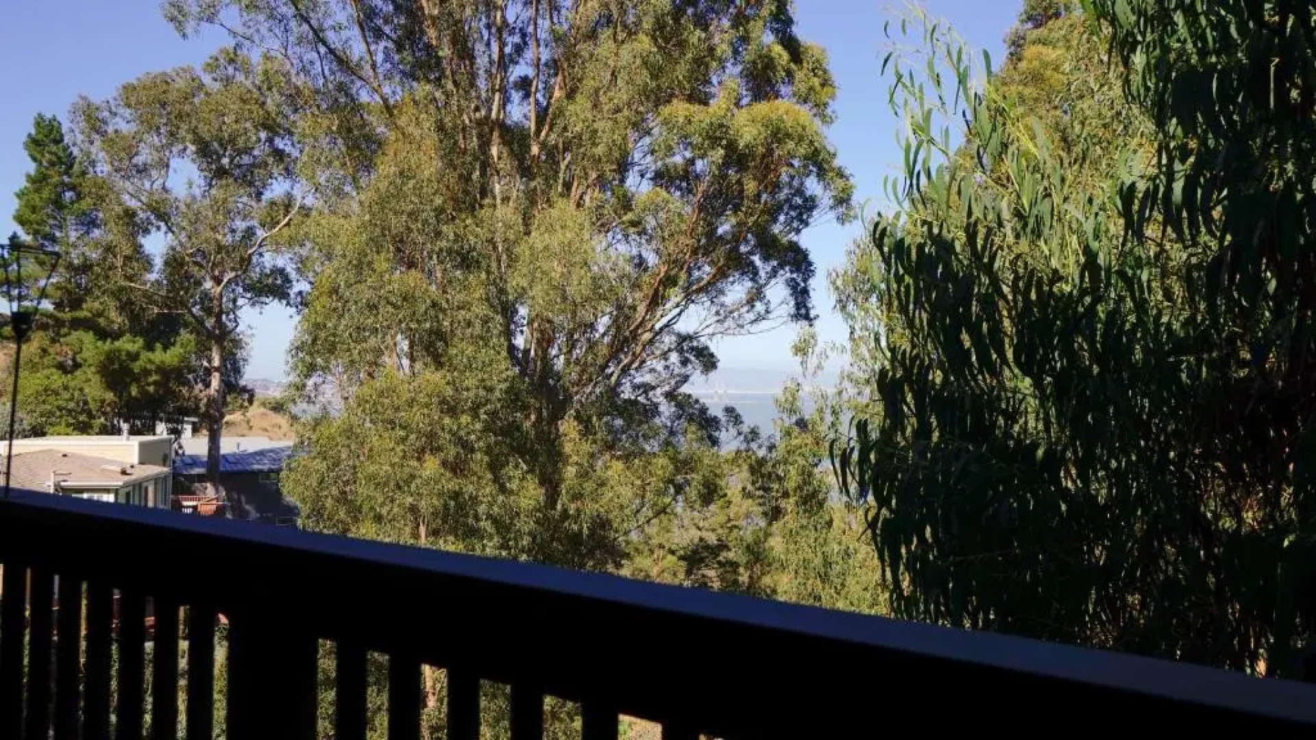 @ Marbella Lane Eco Friendly Treehouse, SFO