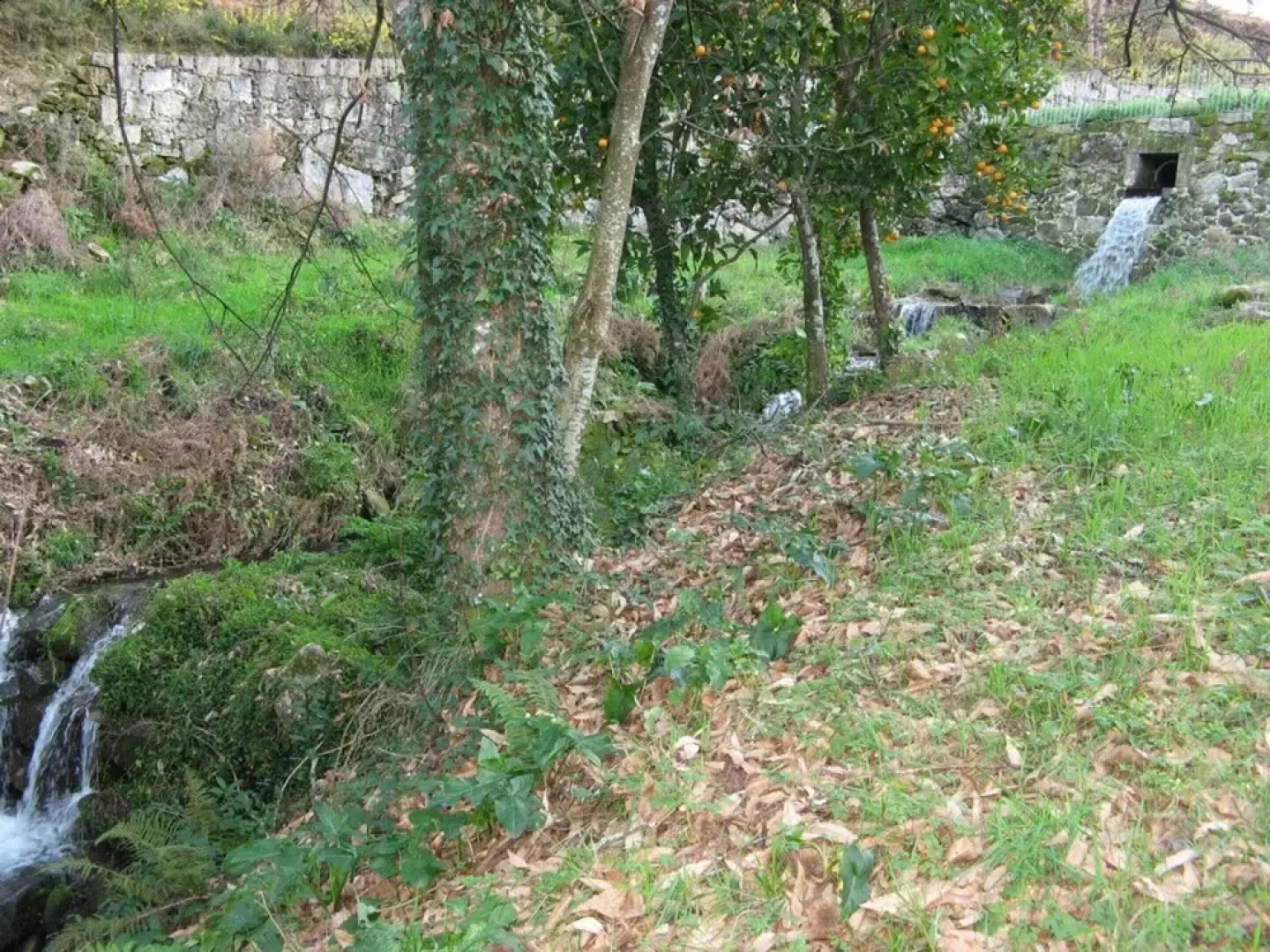 House With 2 Bedrooms in Povoa de Lanhoso, With Wonderful Mountain View, Pool Access and Furnished Garden - 35 km From the Beach