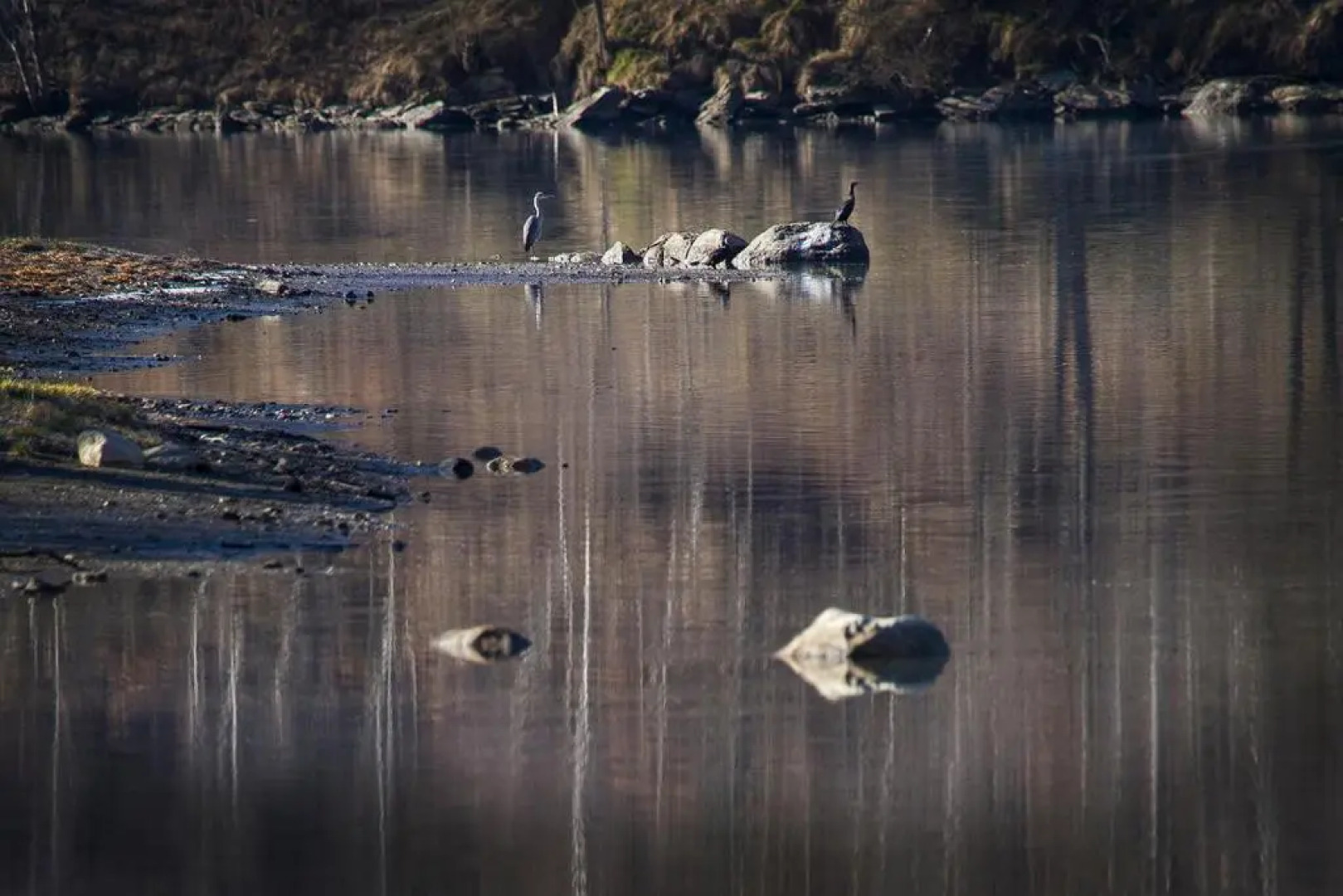 Hotel Restaurante Les Brases