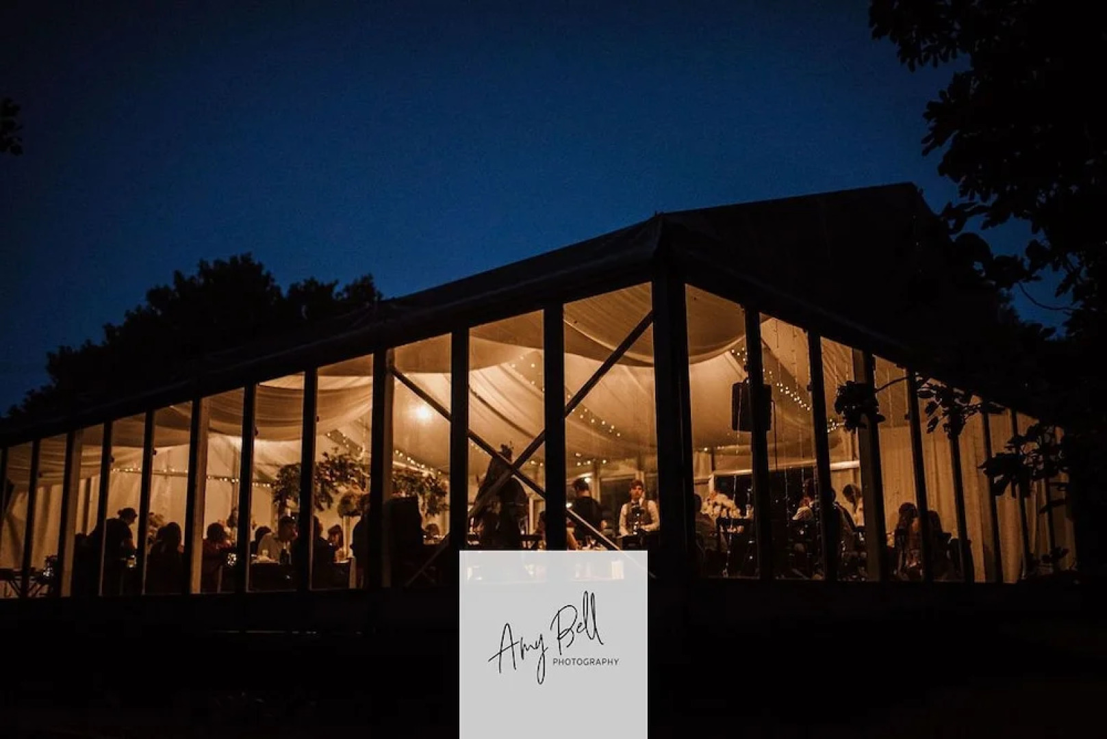 The Waterlily Gardens