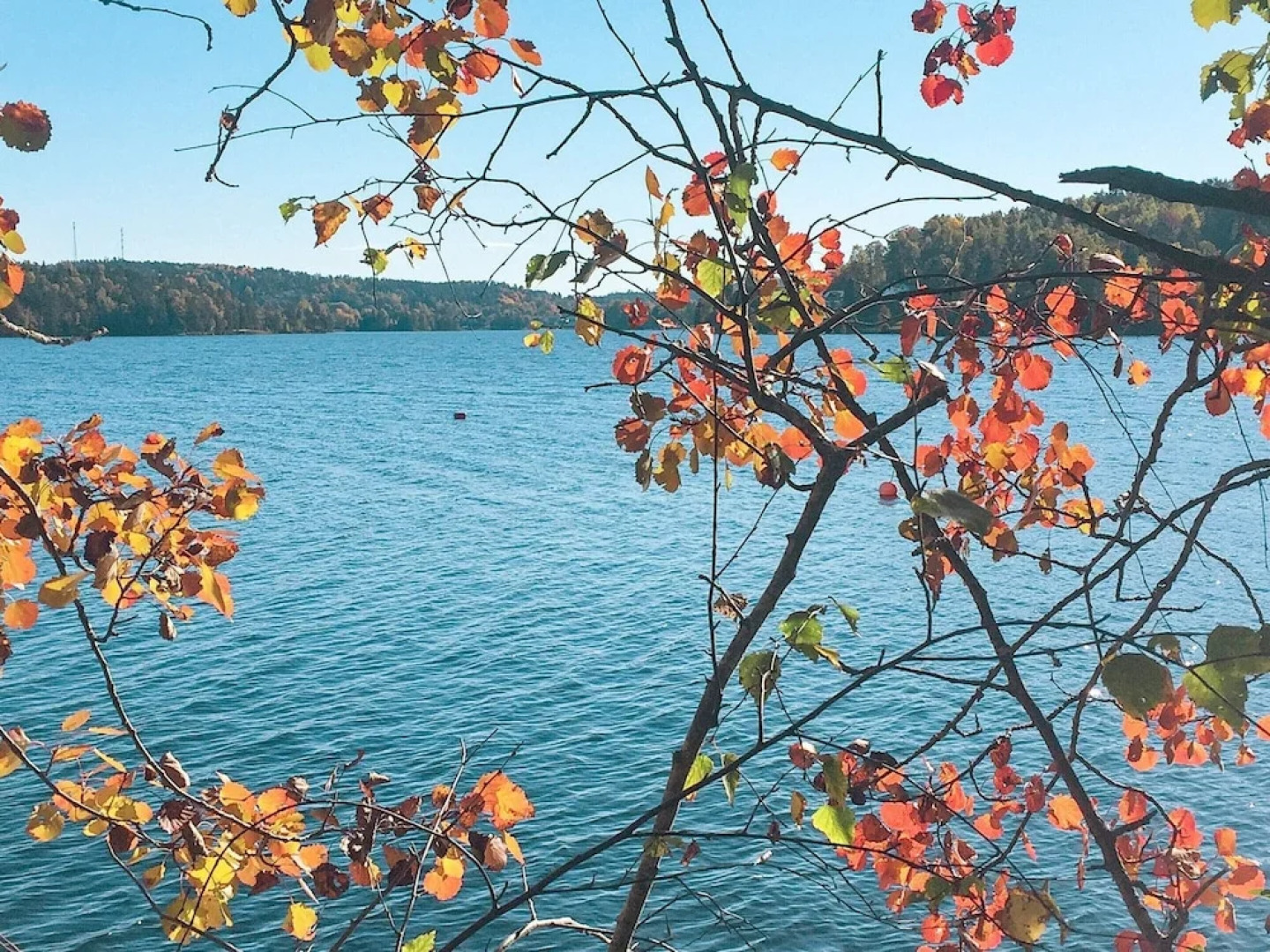 4 Person Holiday Home in Bengtsfors-by Traum