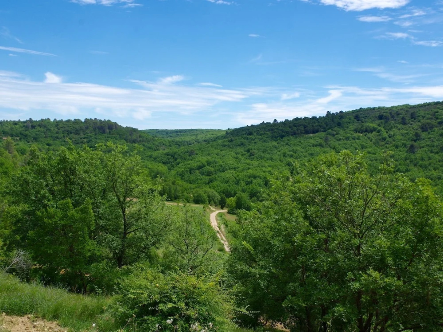 Pleasing Villa in Artignosc-sur-verdon With Swimming Pool