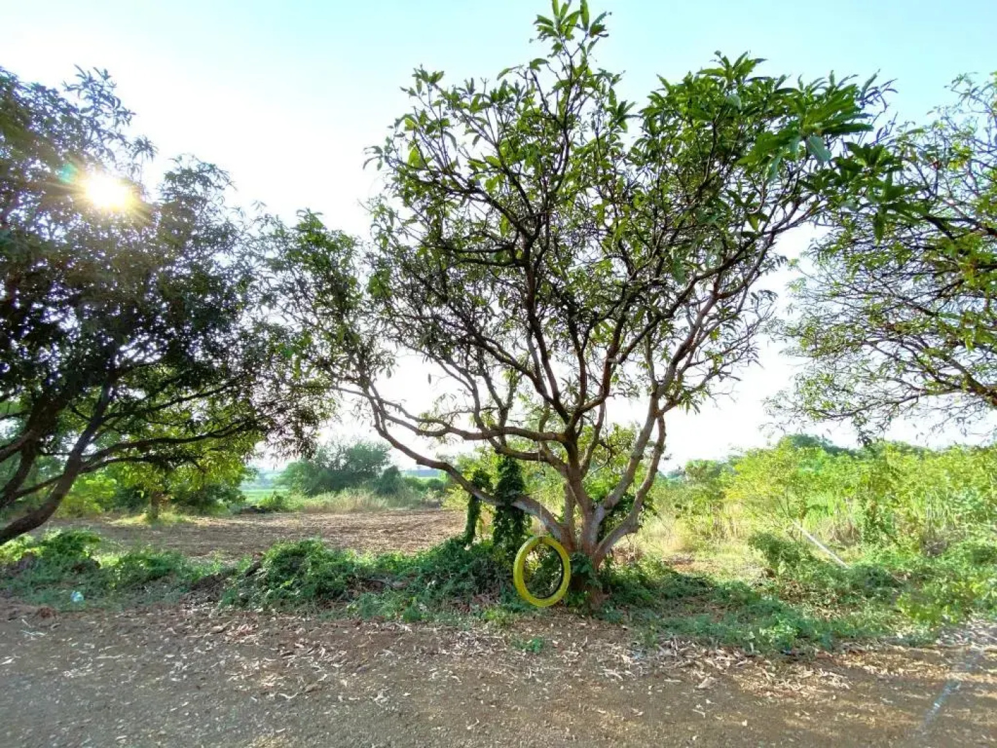 Wilderness Camp 200mtr from Devaliya Park