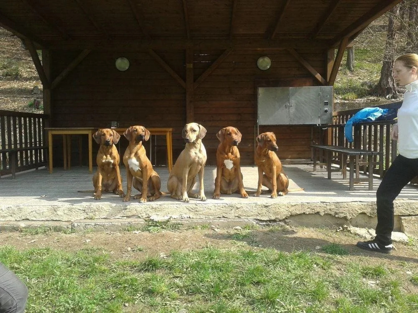 Sportovní areál U Kolečka