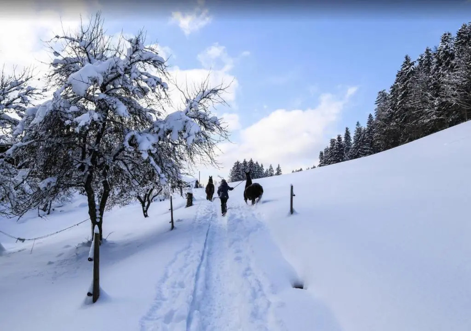 Ferienwohnung Ellmau