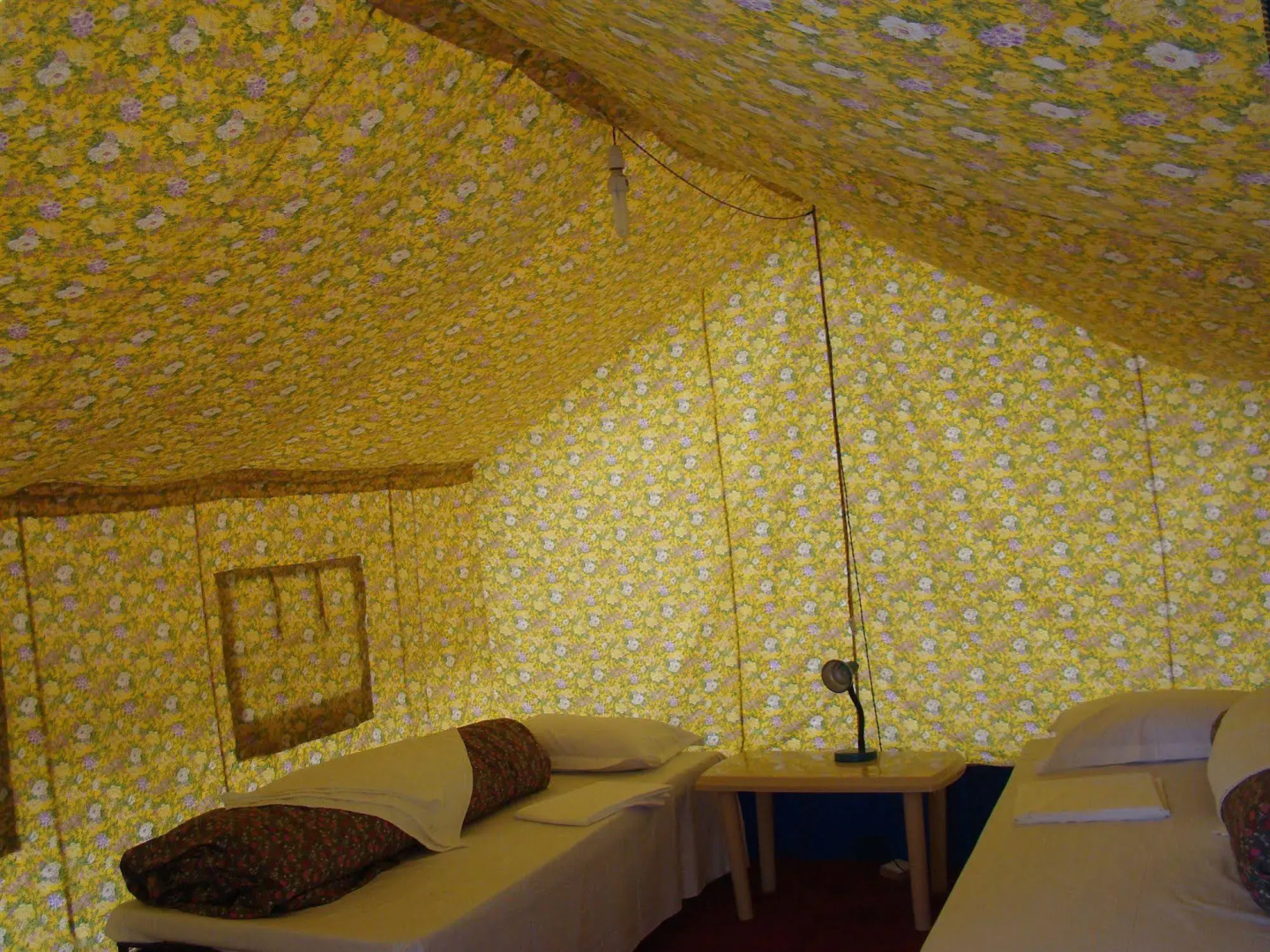 Double Humped Camp - Hunder