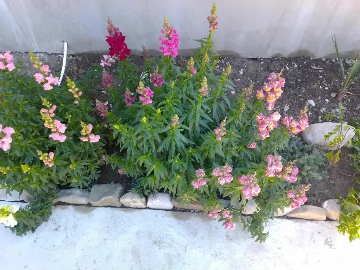 V Gostyah U Natali Guest House