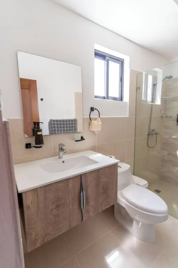 Luxurious Paradise Villa in Punta Cana With Private Pool