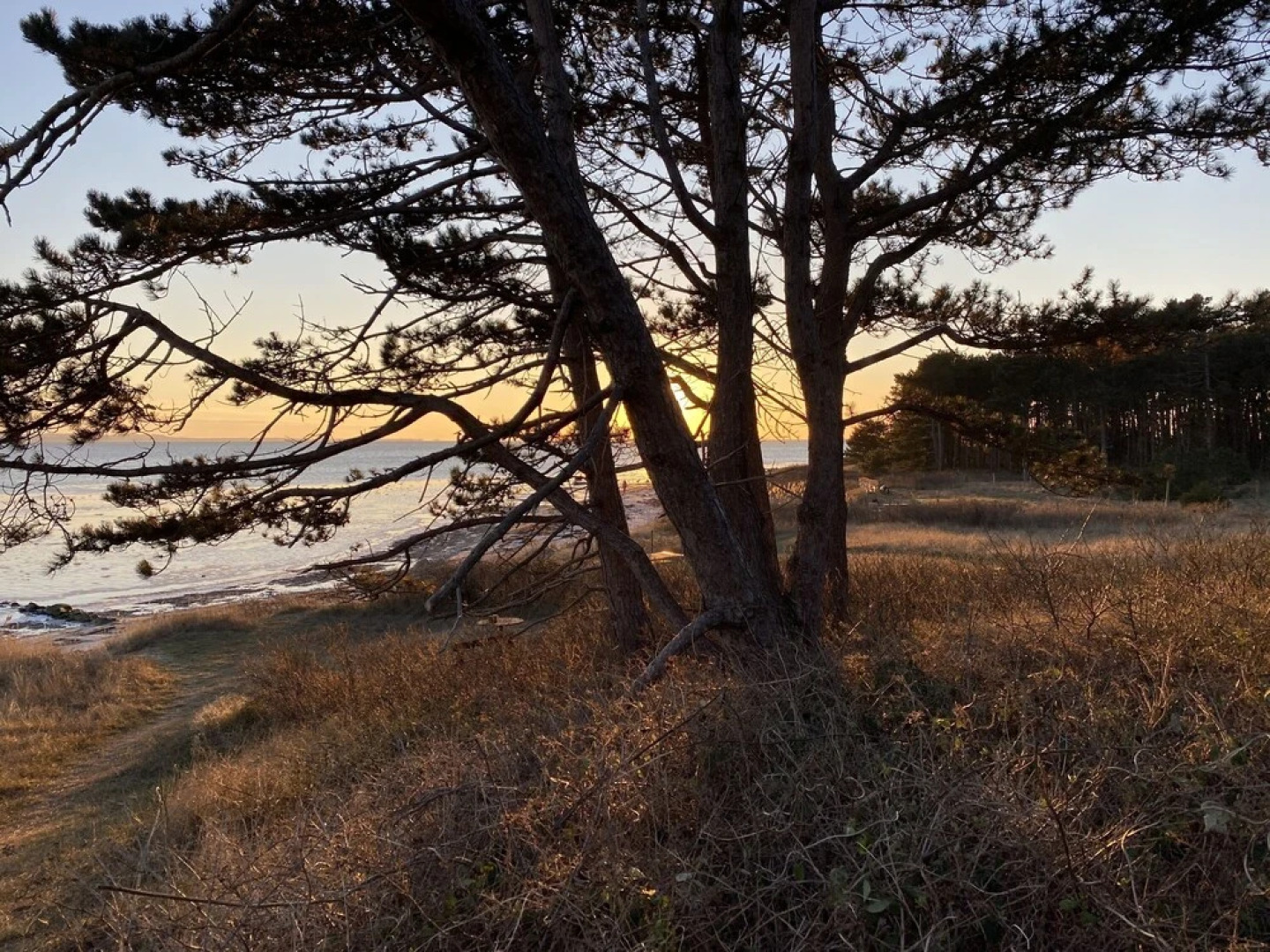 Stunning Ocean View and Private Beach