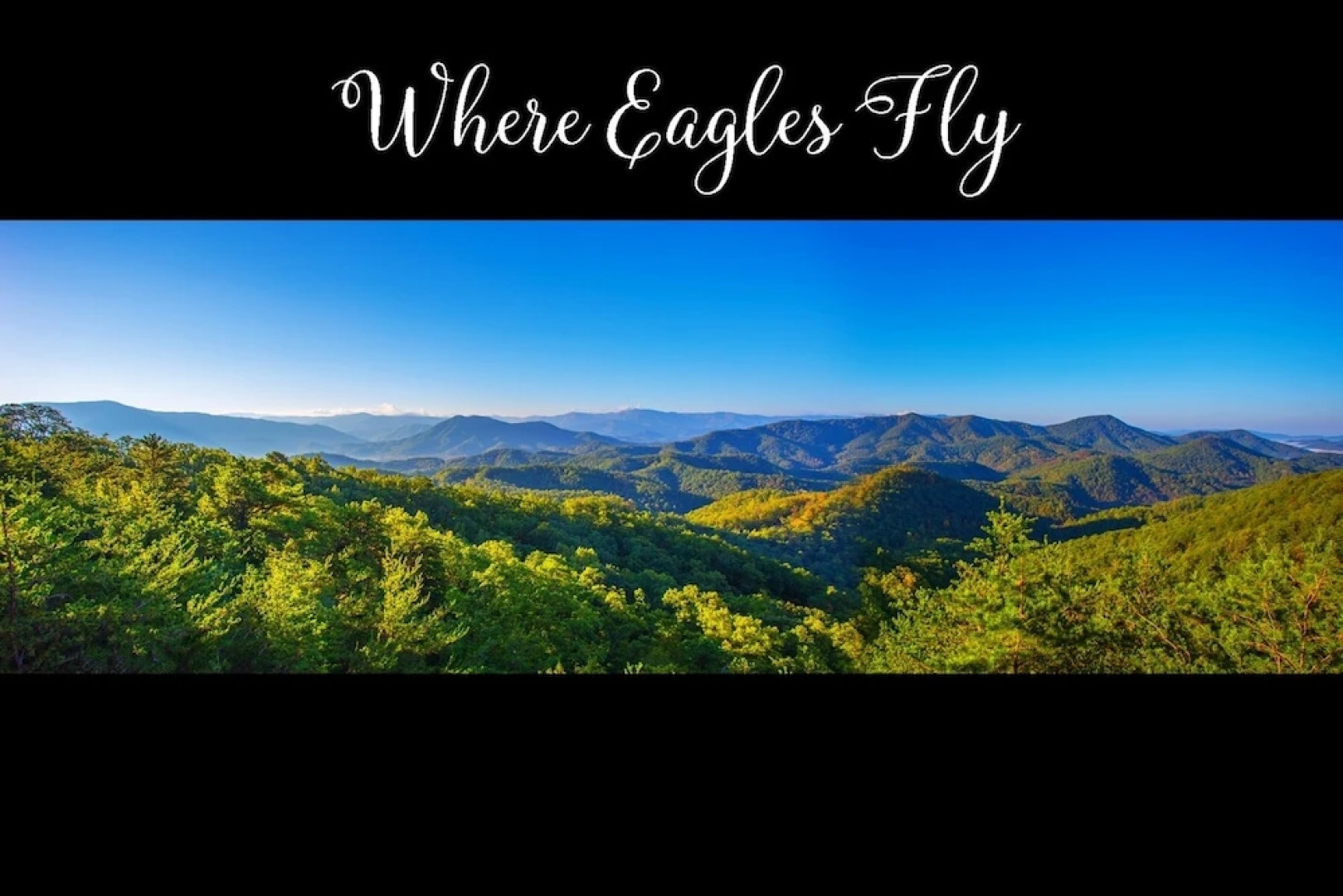 Where Eagles Fly - 4 Br Cabin