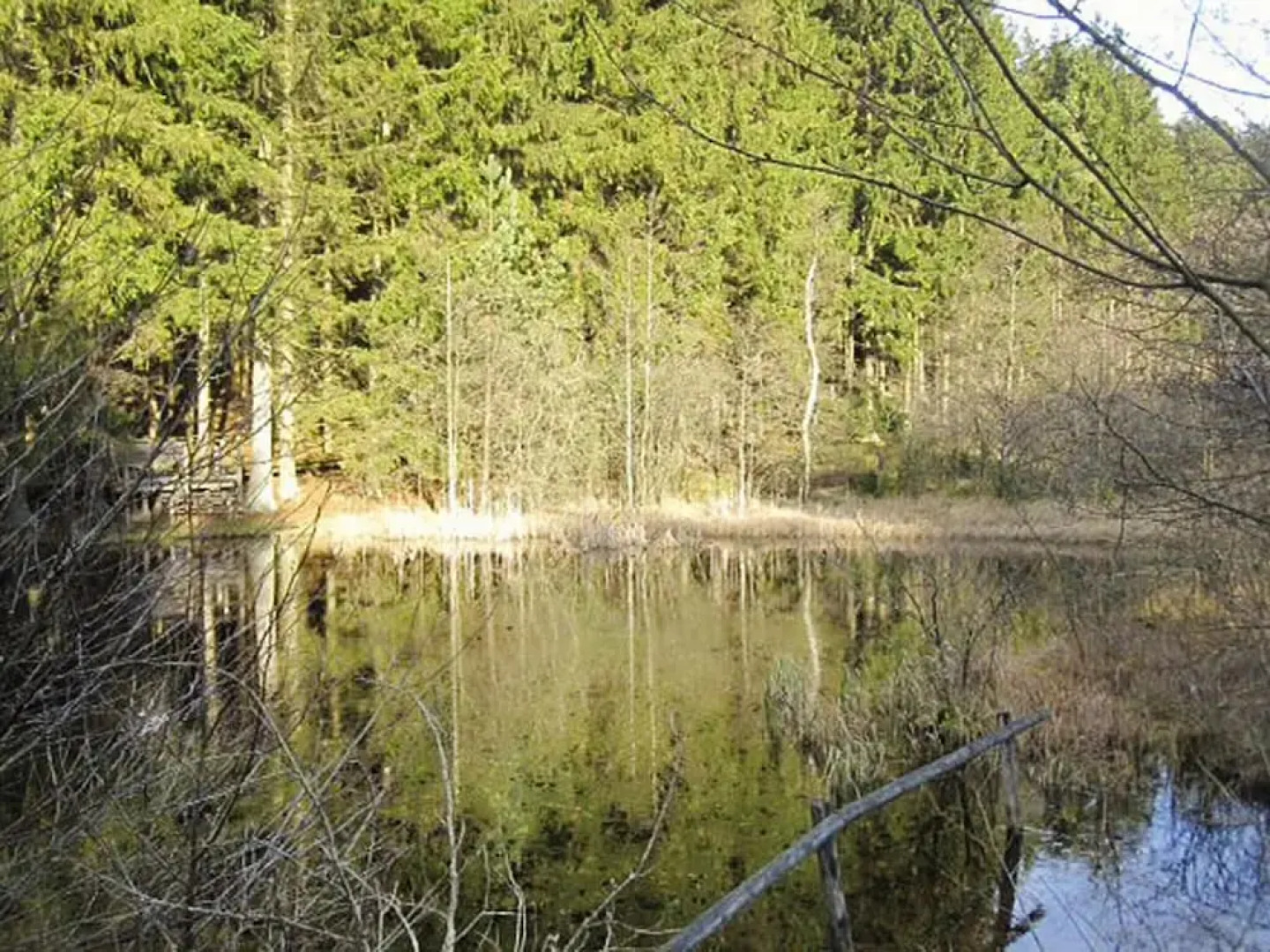 Apartment in Eifel Near Hiking Trails