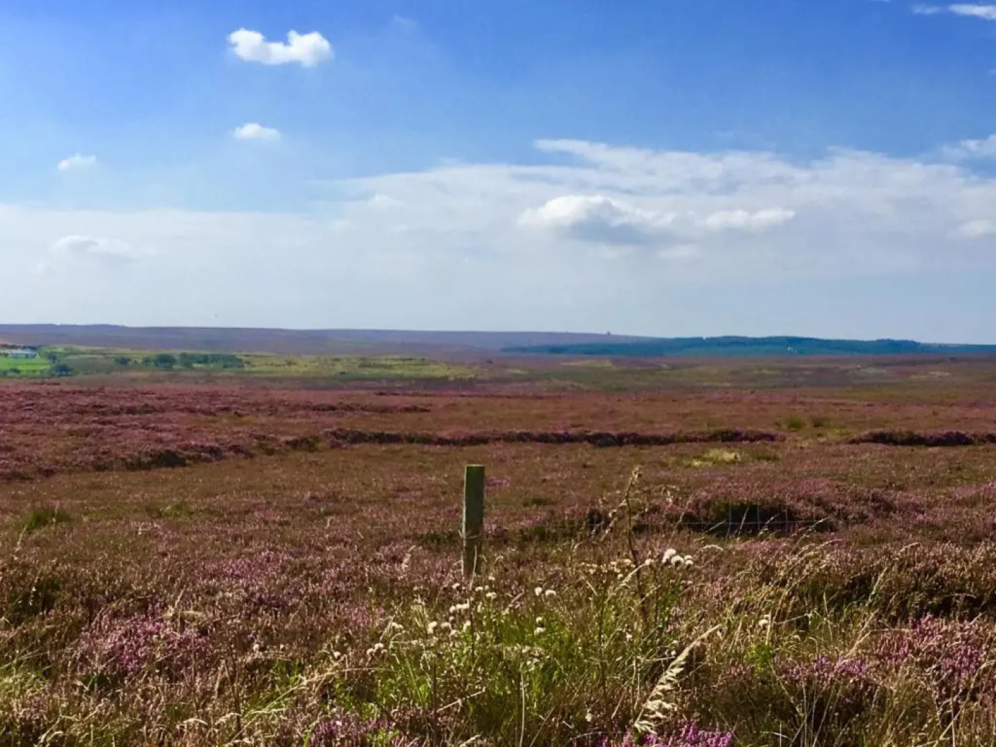 The Barn - Yorkshire Coast Holiday Lets