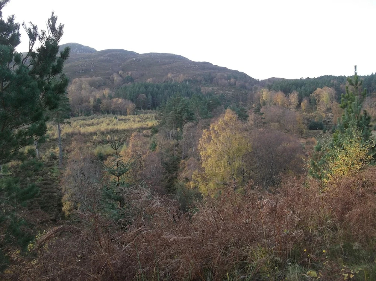 The Steading Highland Glen Lodge