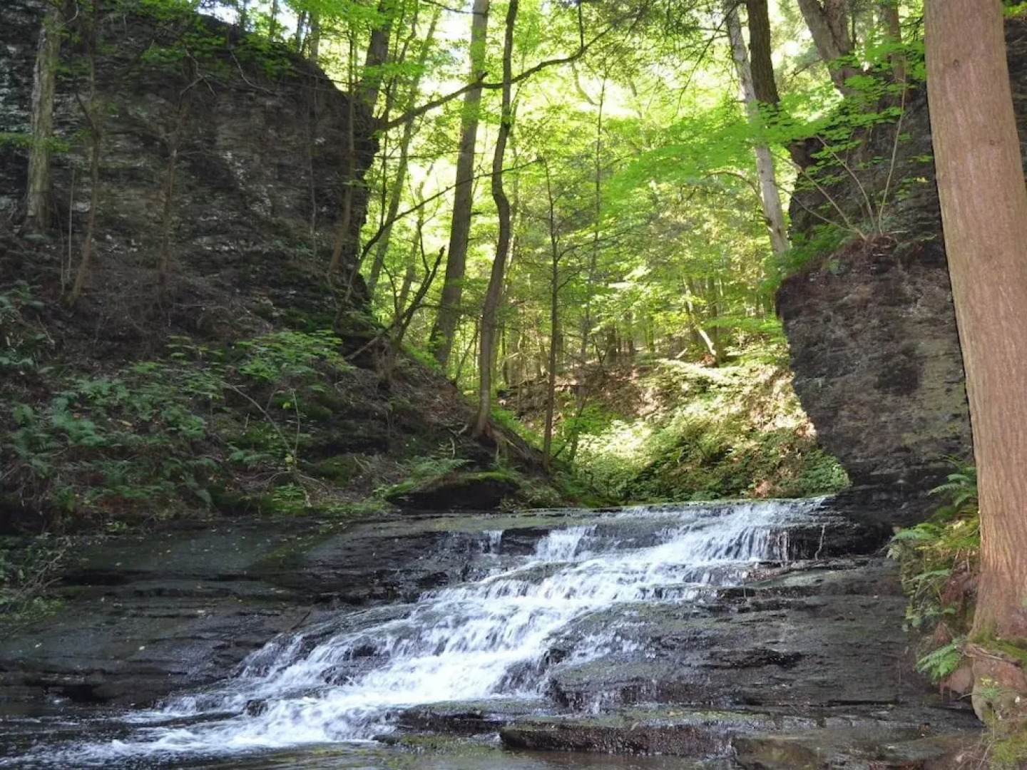 Tentrr - Hemlock Gorge Hideaway