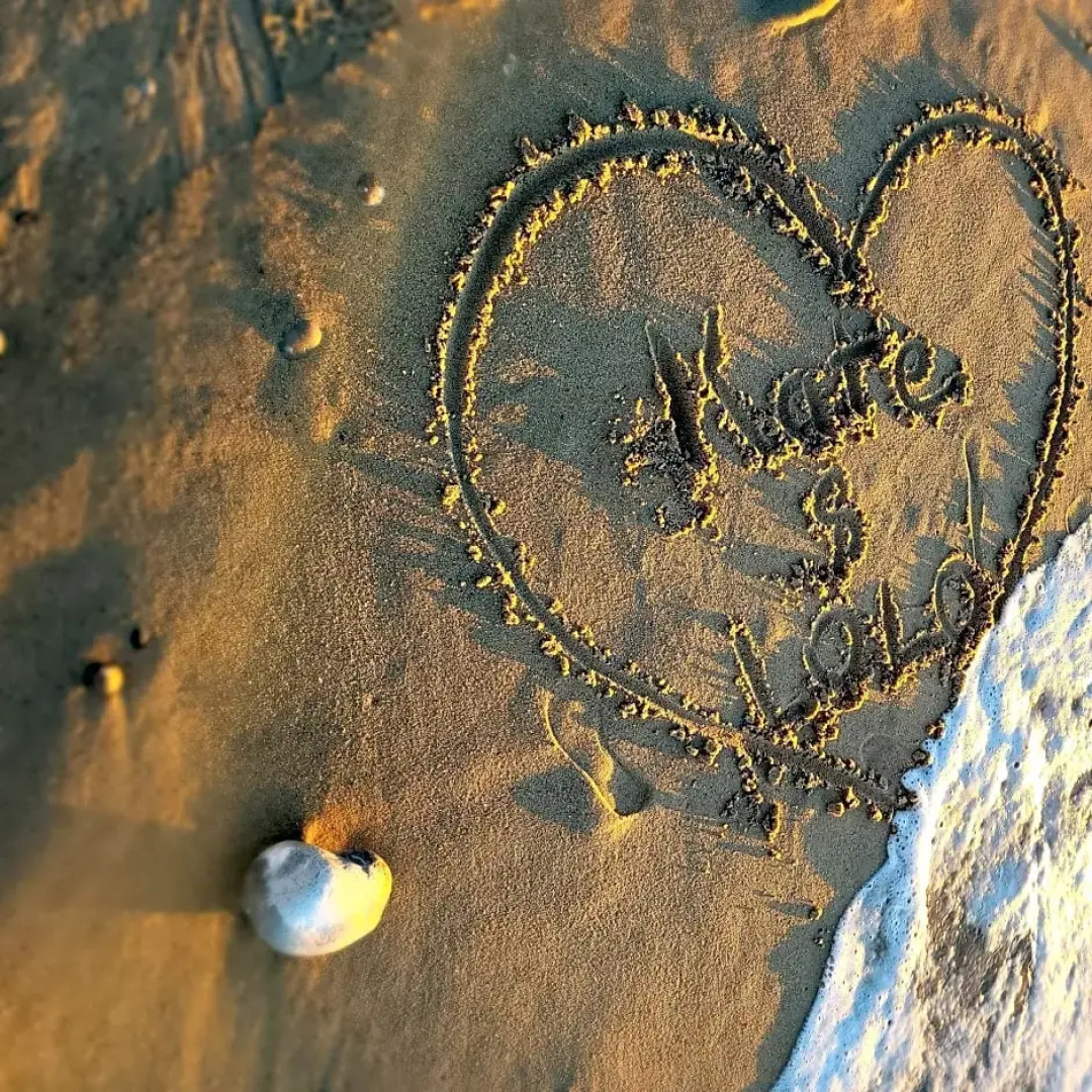 Chambre D'hotes Fecamp Chez Kate Et Lolo