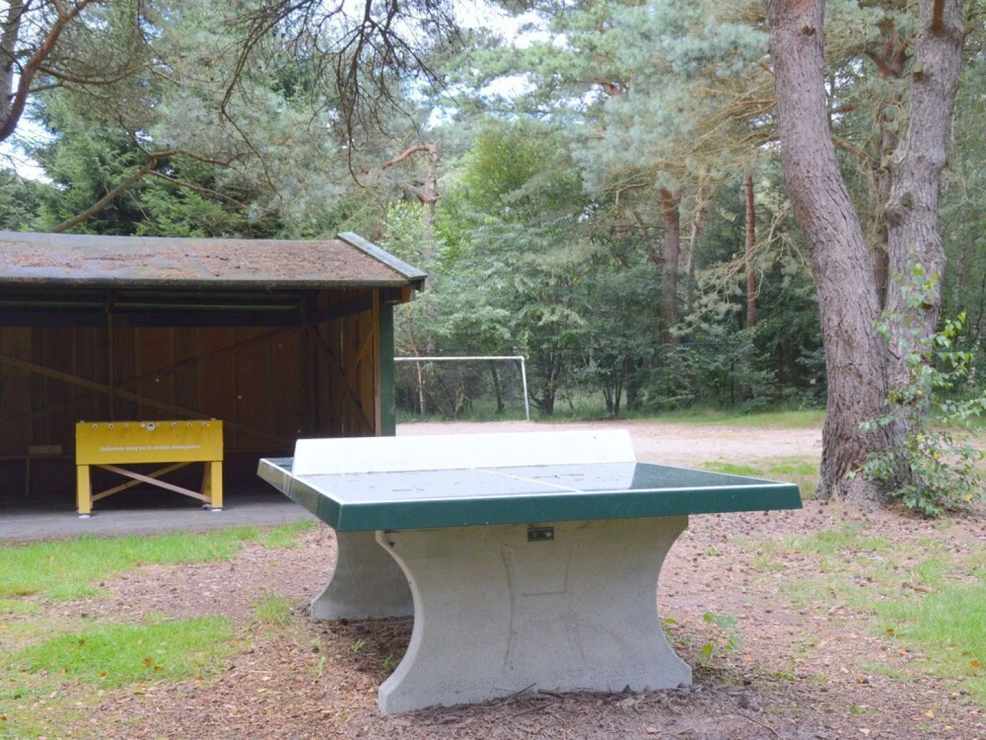 Charming Holiday Home in Overijssel by the Forest