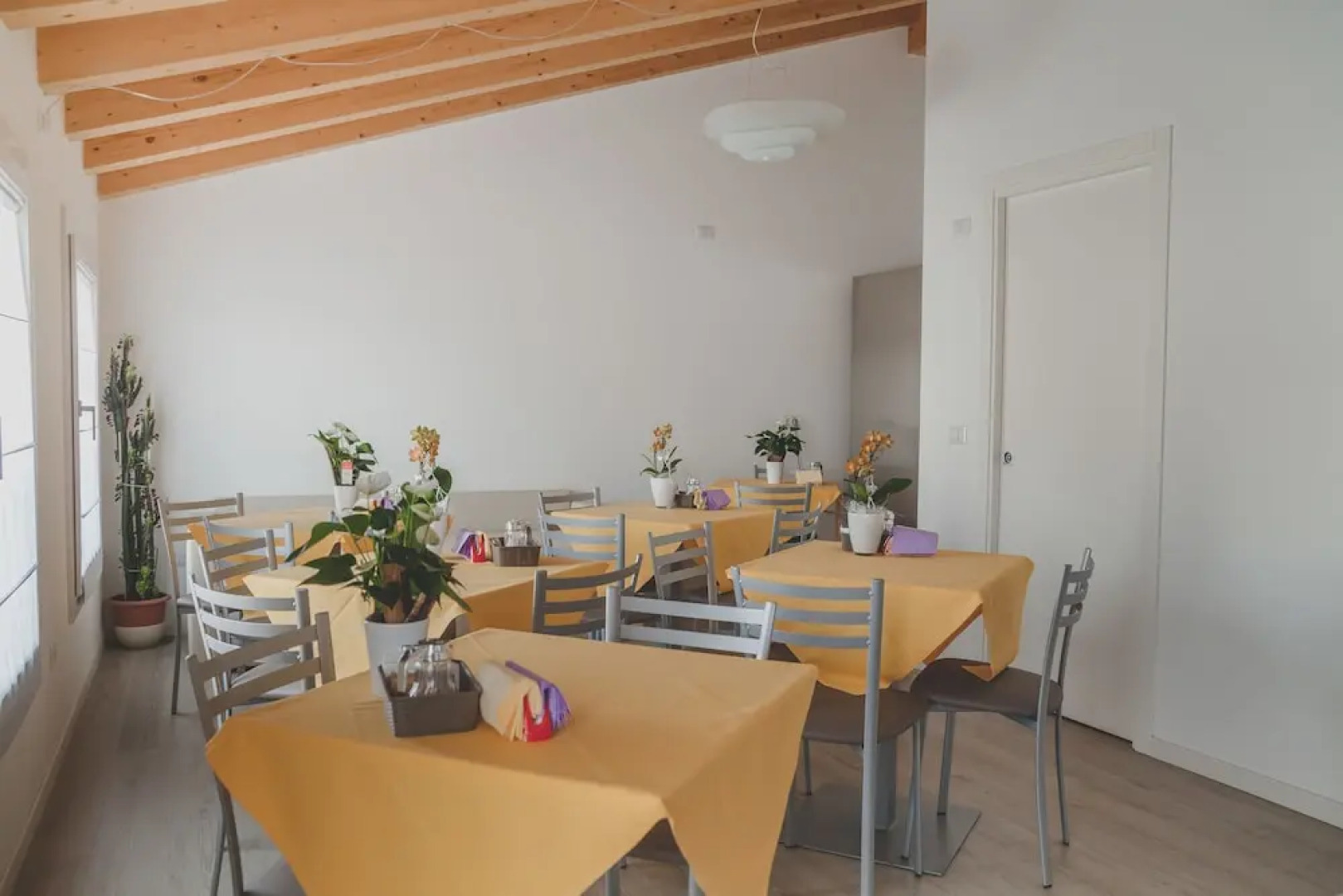 Terra Ferma Rooms & More