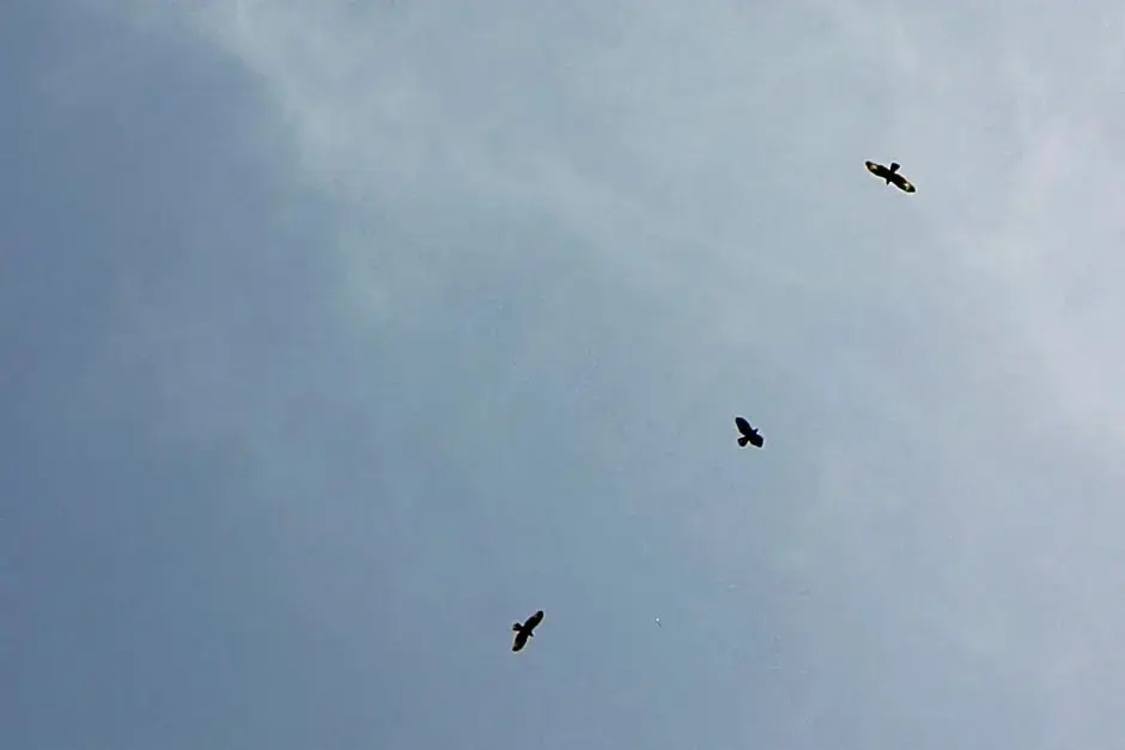 B&B Poggio alla Cuna