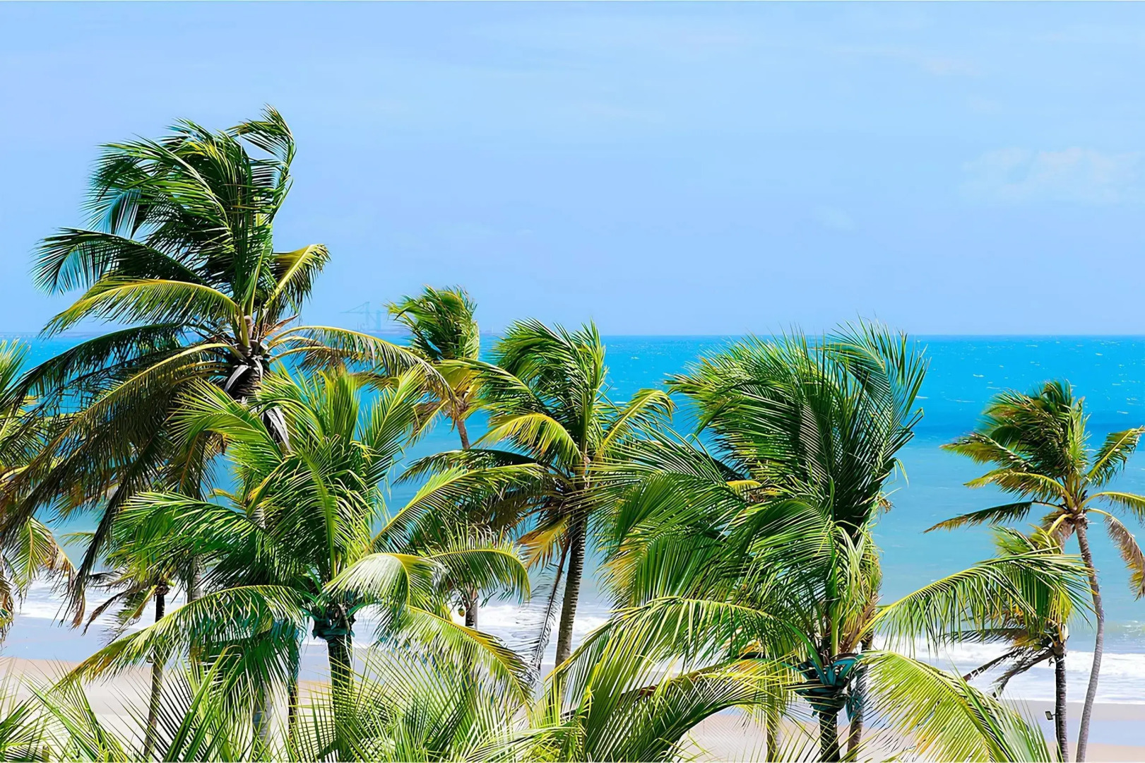 Wai Wai #202C - Apart em Cumbuco por Carpediem