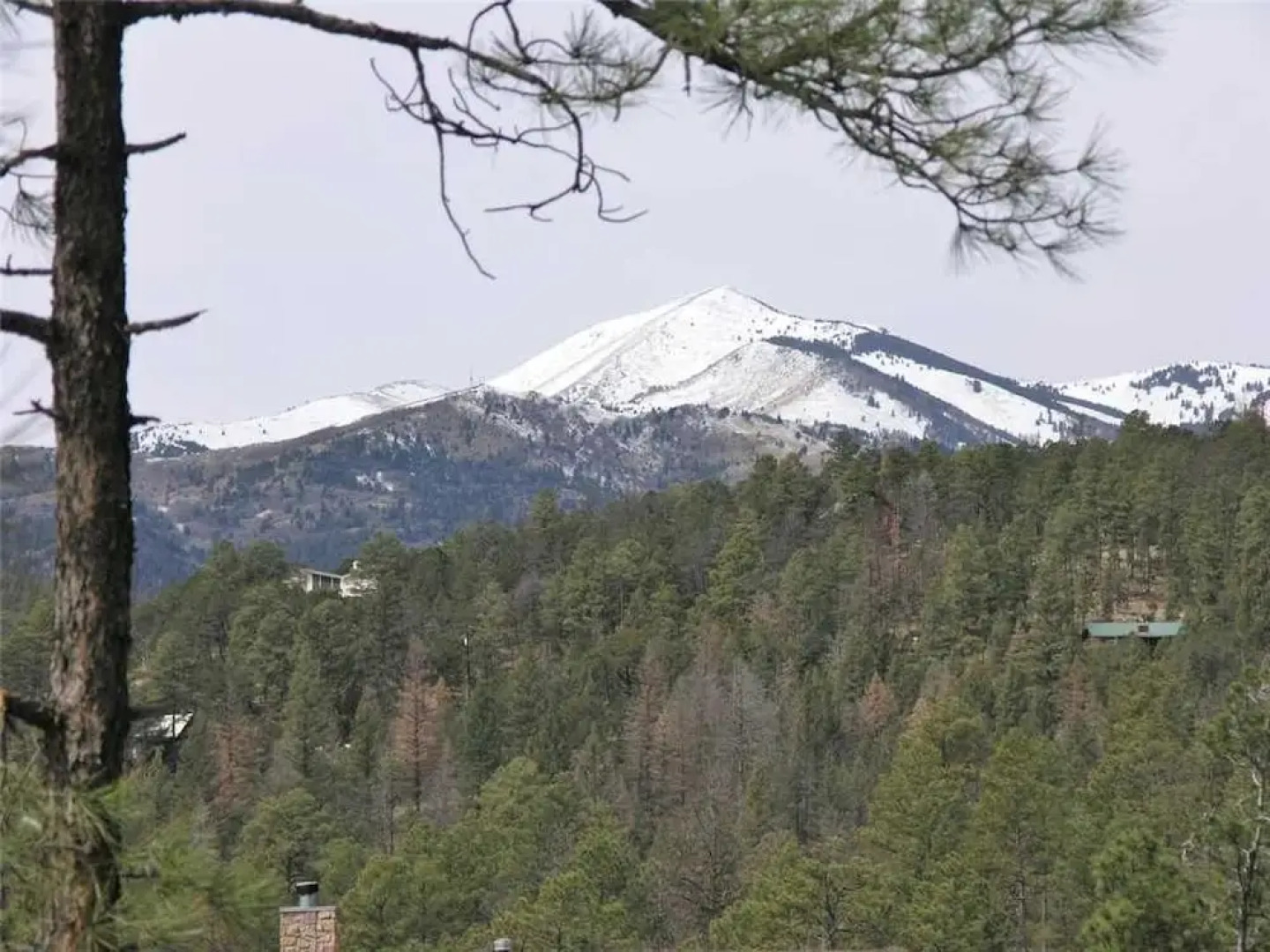 Air Nuevo - Three Bedroom Cabin