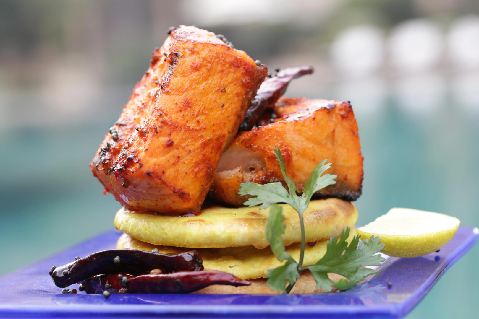 Radisson Blu Plaza Delhi Airport