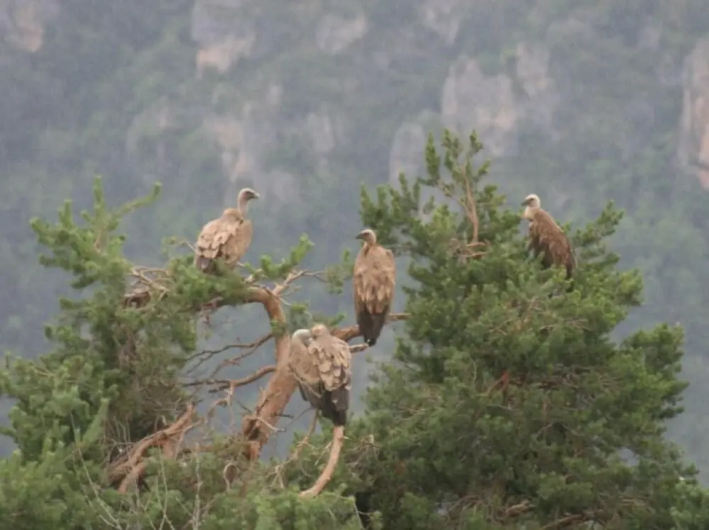 Villa With 4 Bedrooms In Saint-pierre-des-tripiers, With Wonderful Lake View, Private Pool, Furnished Garden - 41 Km From The Slopes