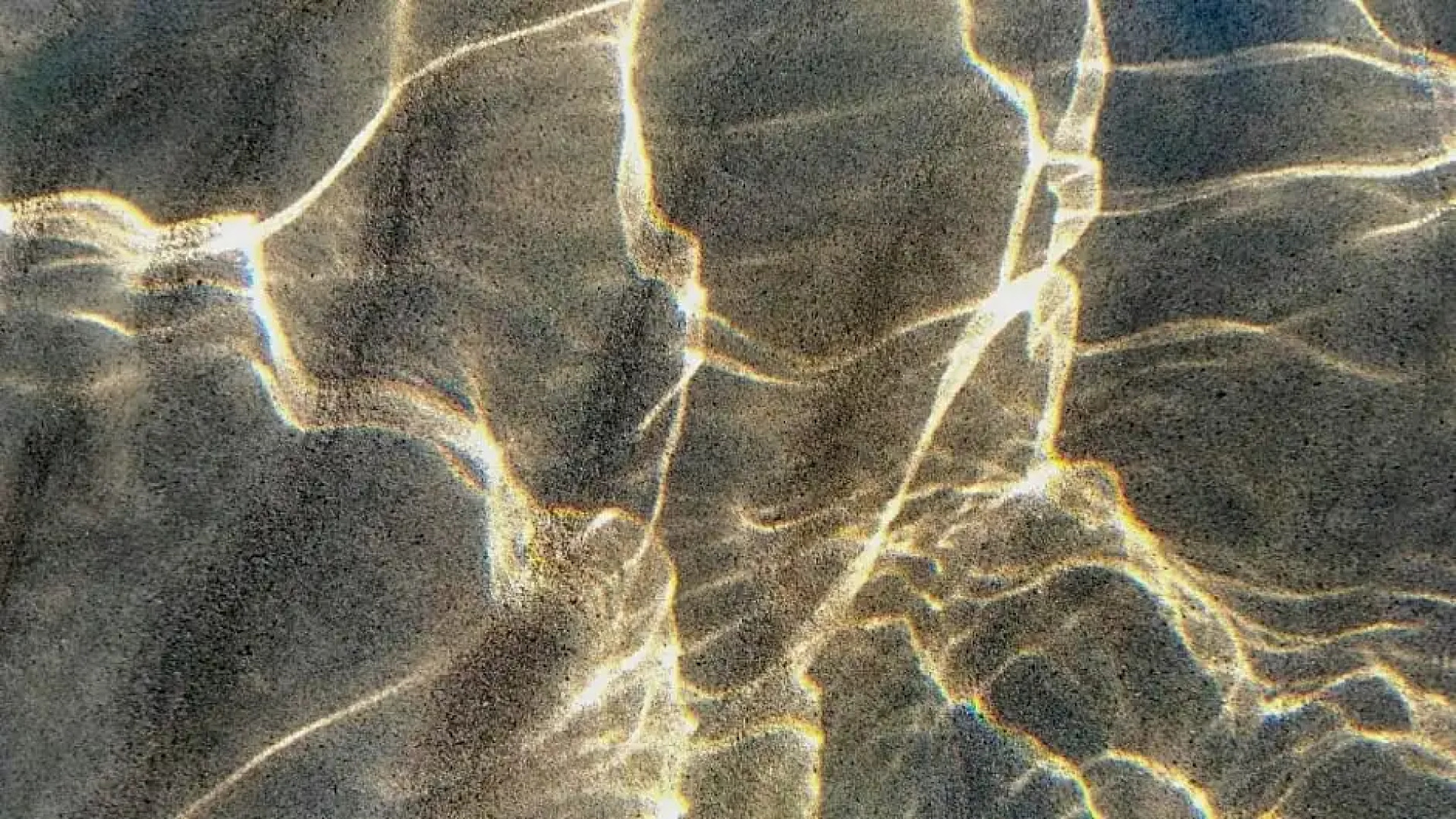 BB Il Gatto Pescatore